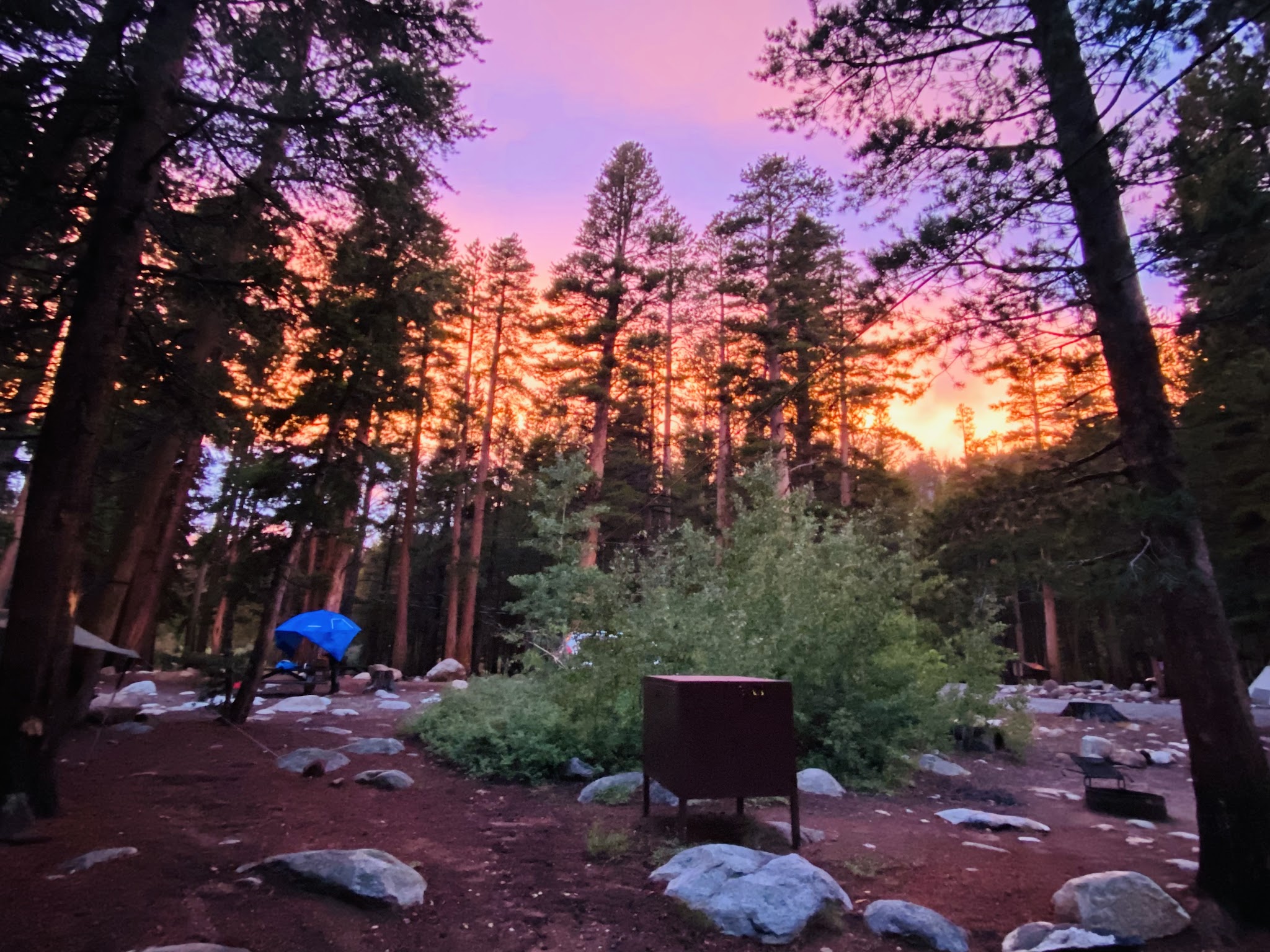 Pine Grove Campground