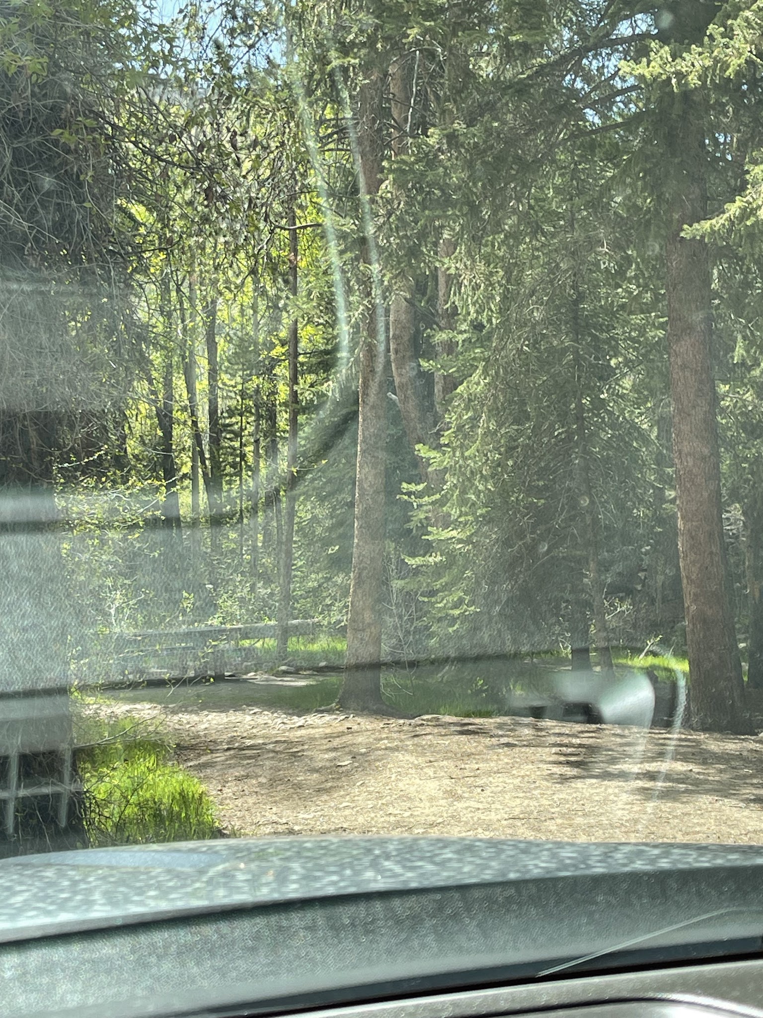 Lower Provo River Campground