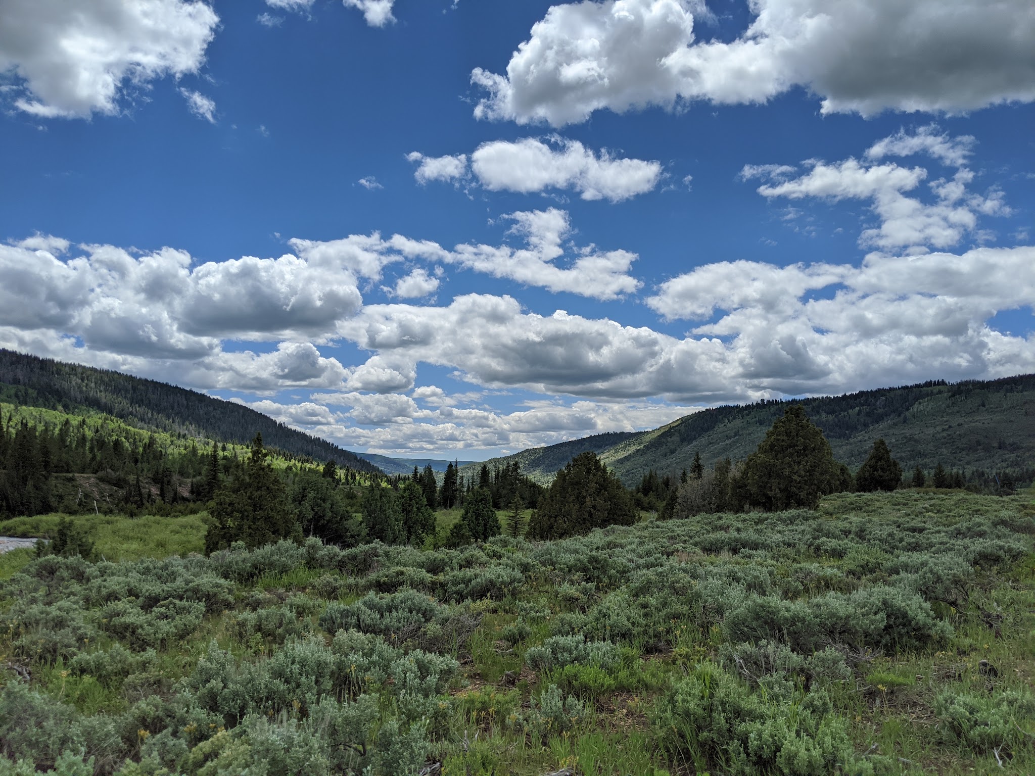 Lower Provo River Campground