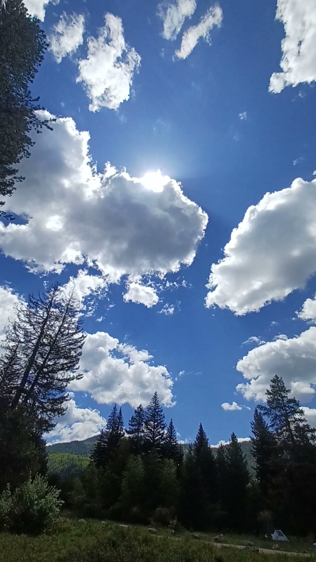 Lower Provo River Campground