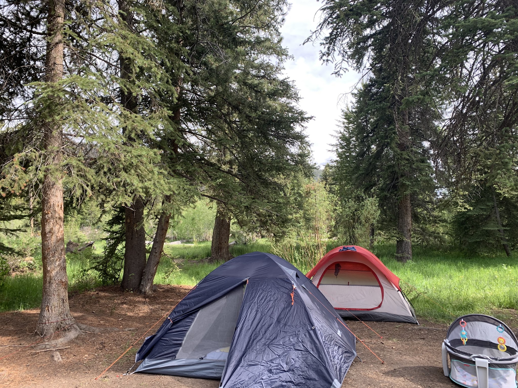 Lower Provo River Campground
