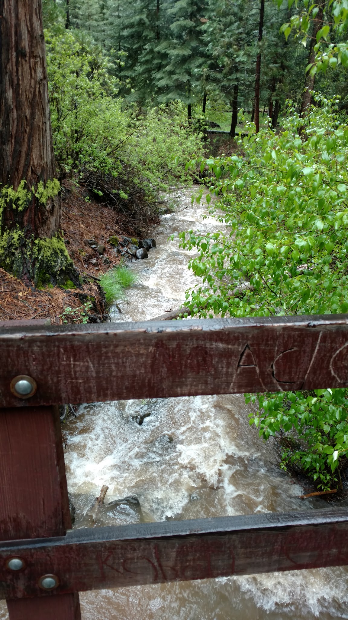 Lower Rush Creek Campground
