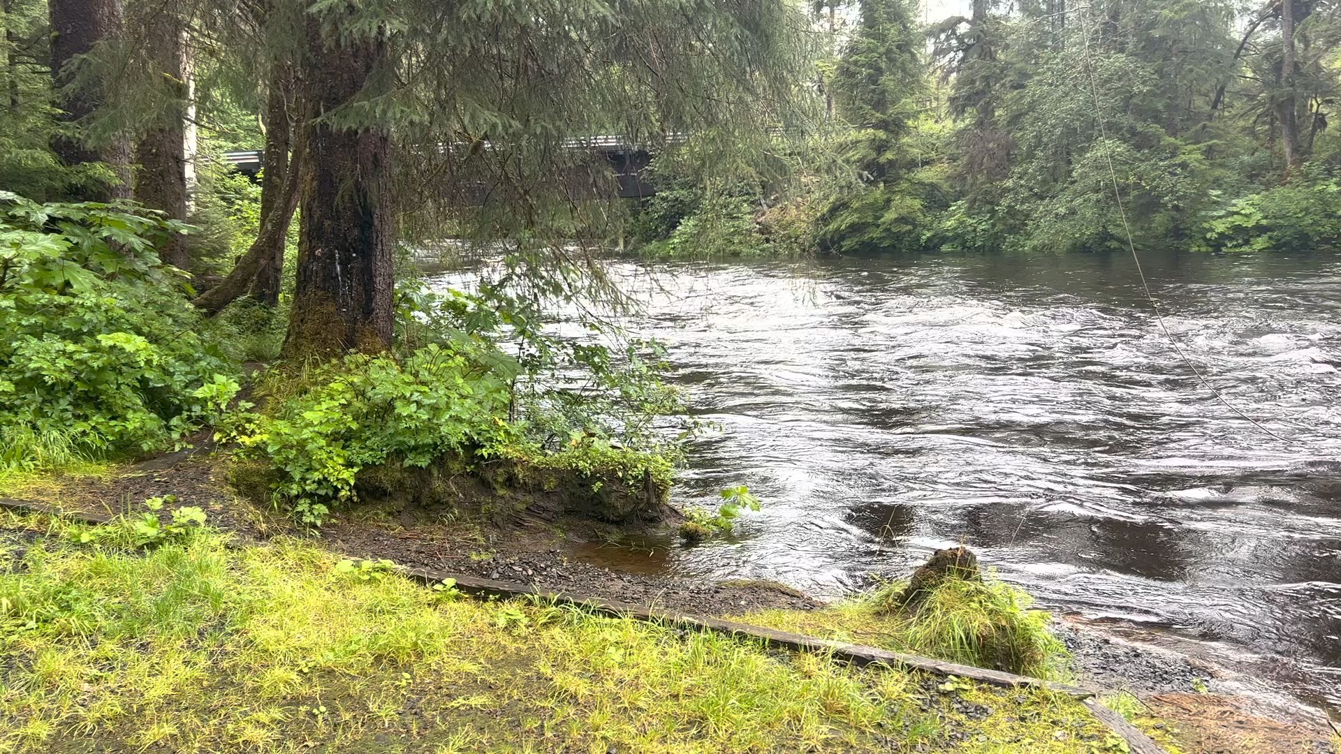 Lower Salamander Creek Campground