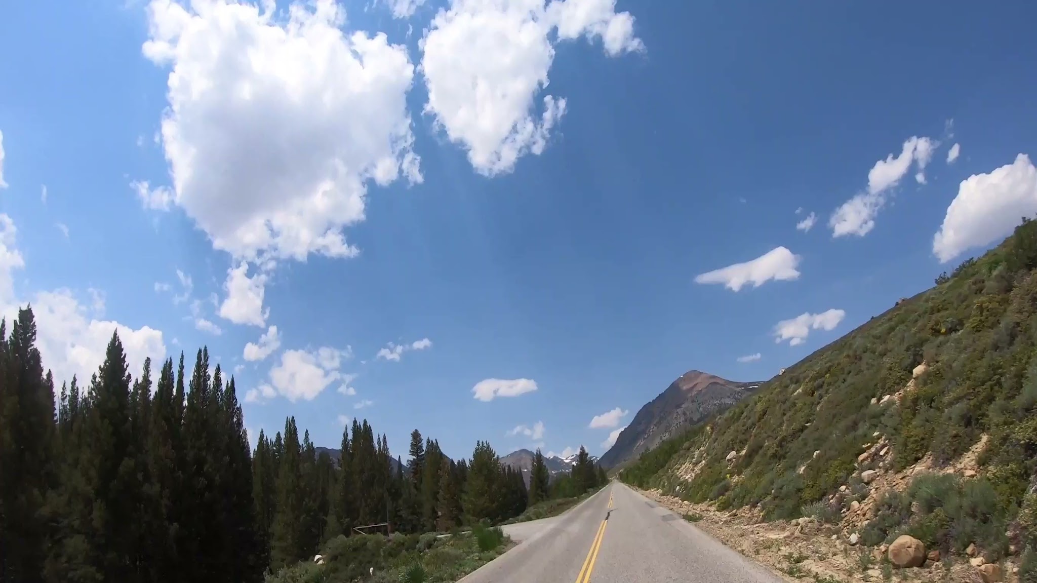 Lower Virginia Creek Primitive Campground