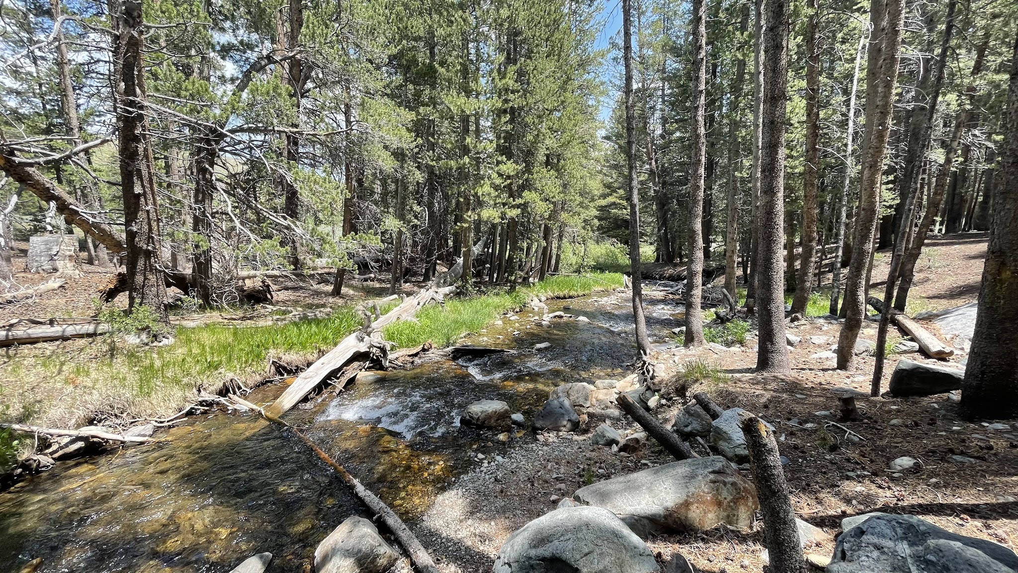 Lower Virginia Creek Primitive Campground