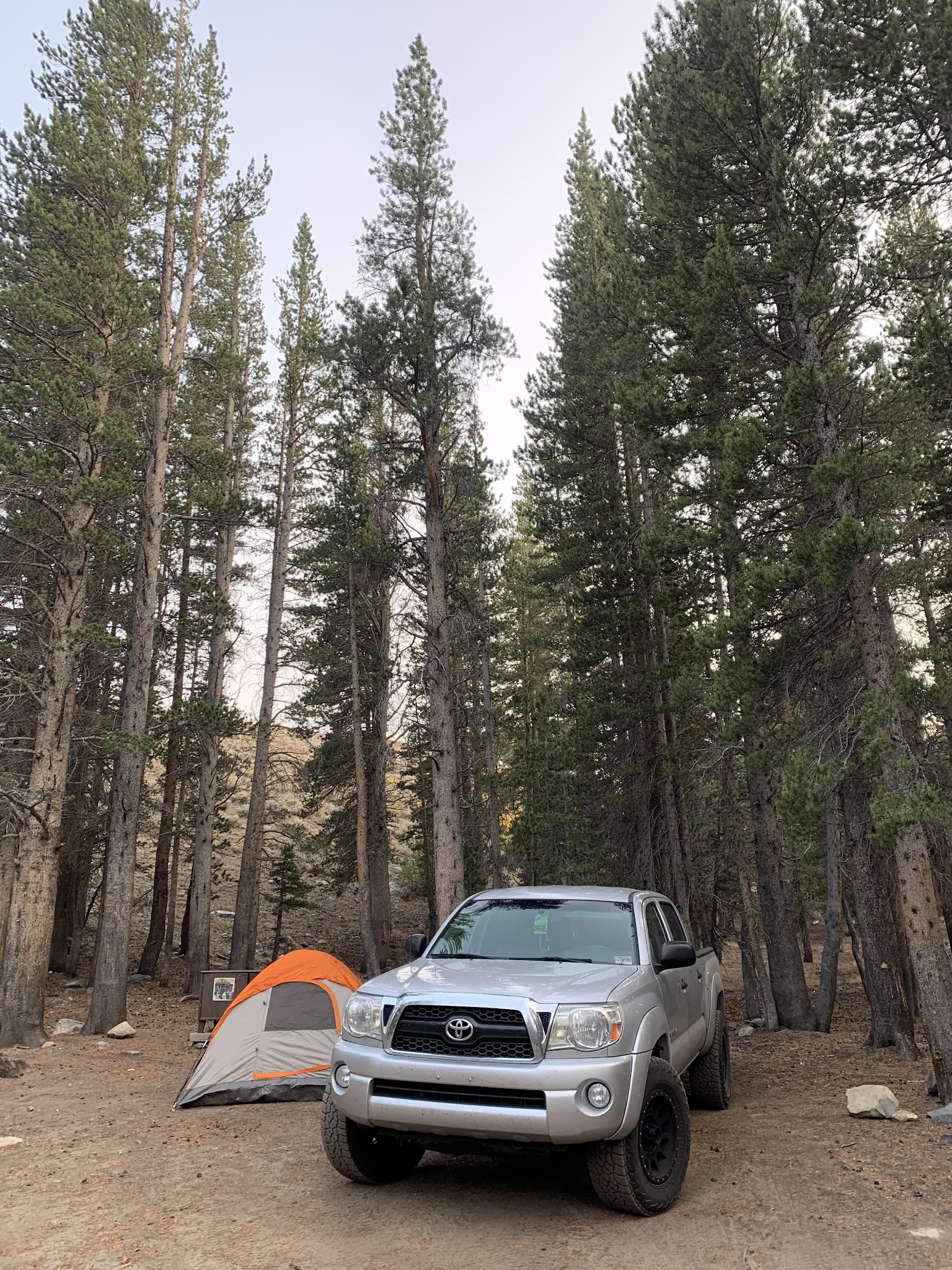 Lower Virginia Creek Primitive Campground