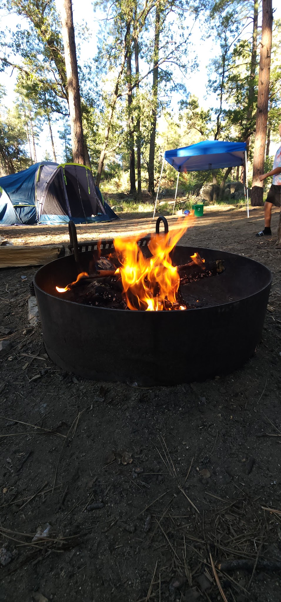 Lower Wolf Creek Campground