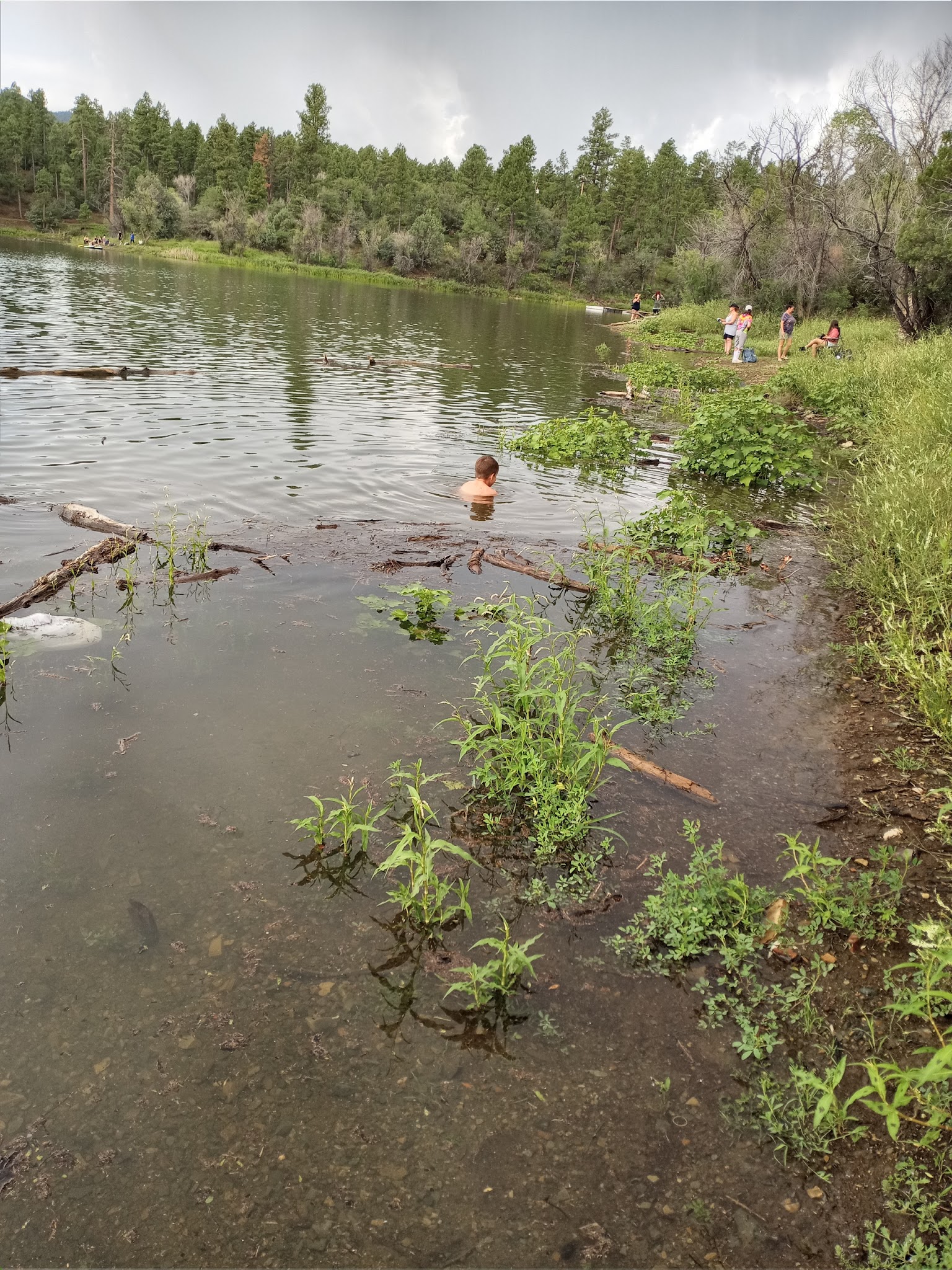 Lower Wolf Creek Campground