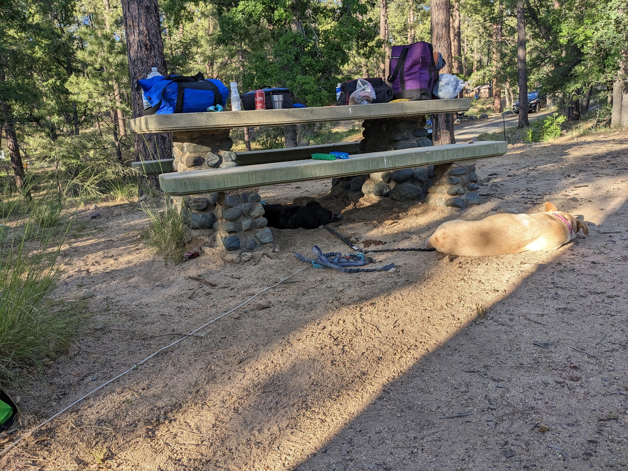 Lower Wolf Creek Campground