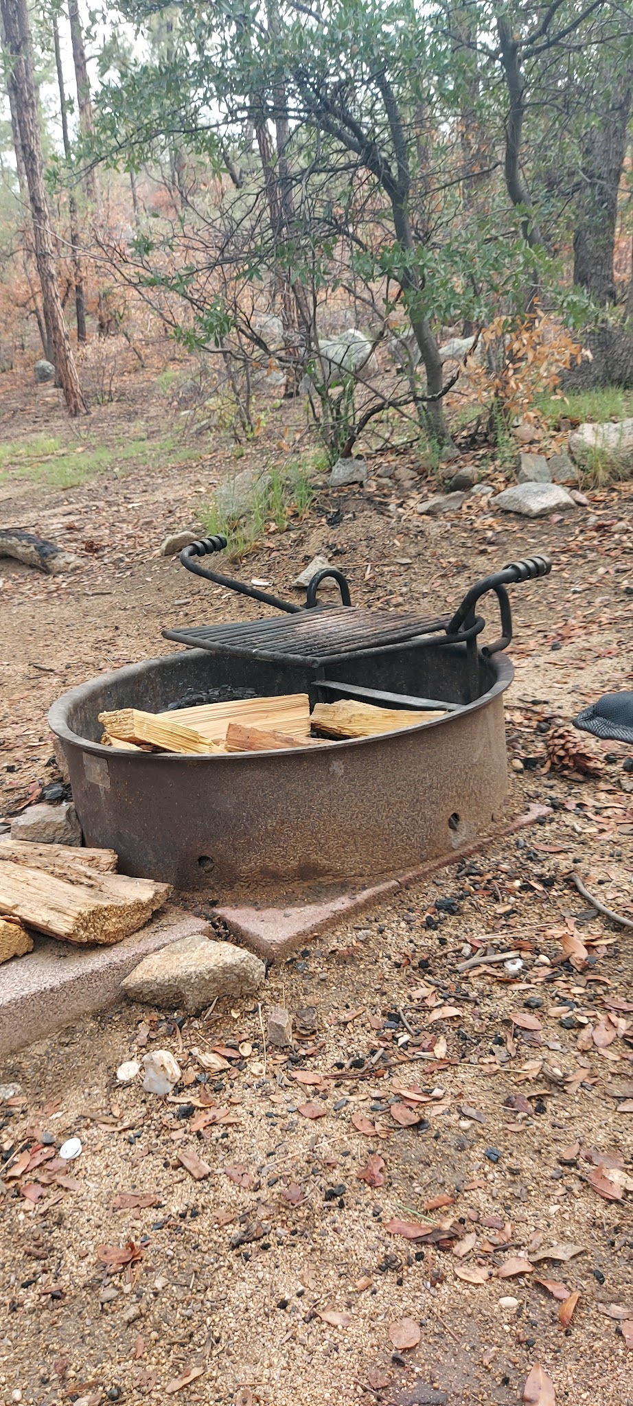 Lower Wolf Creek Campground