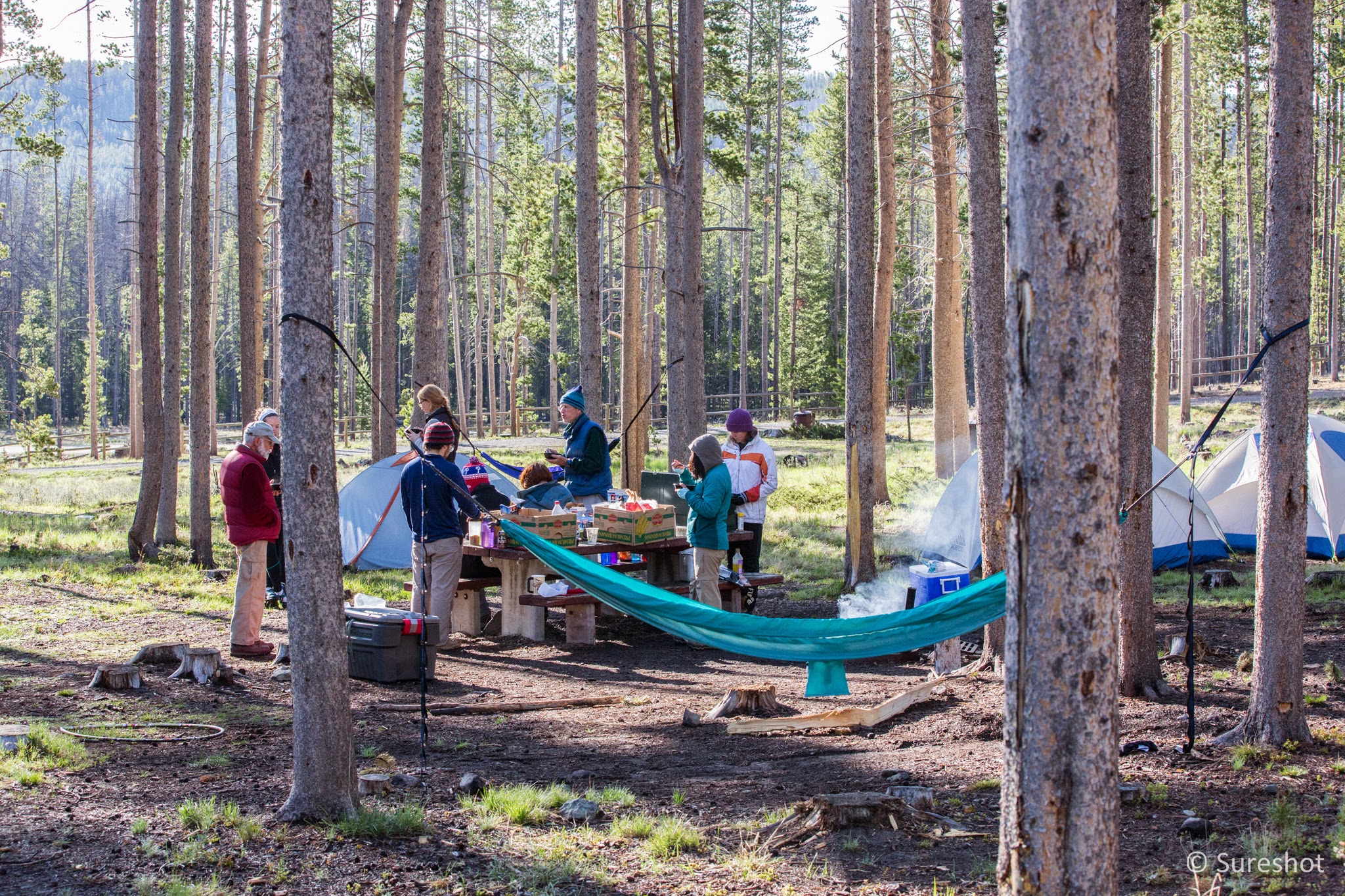 Lowland Campground And Picnic Area
