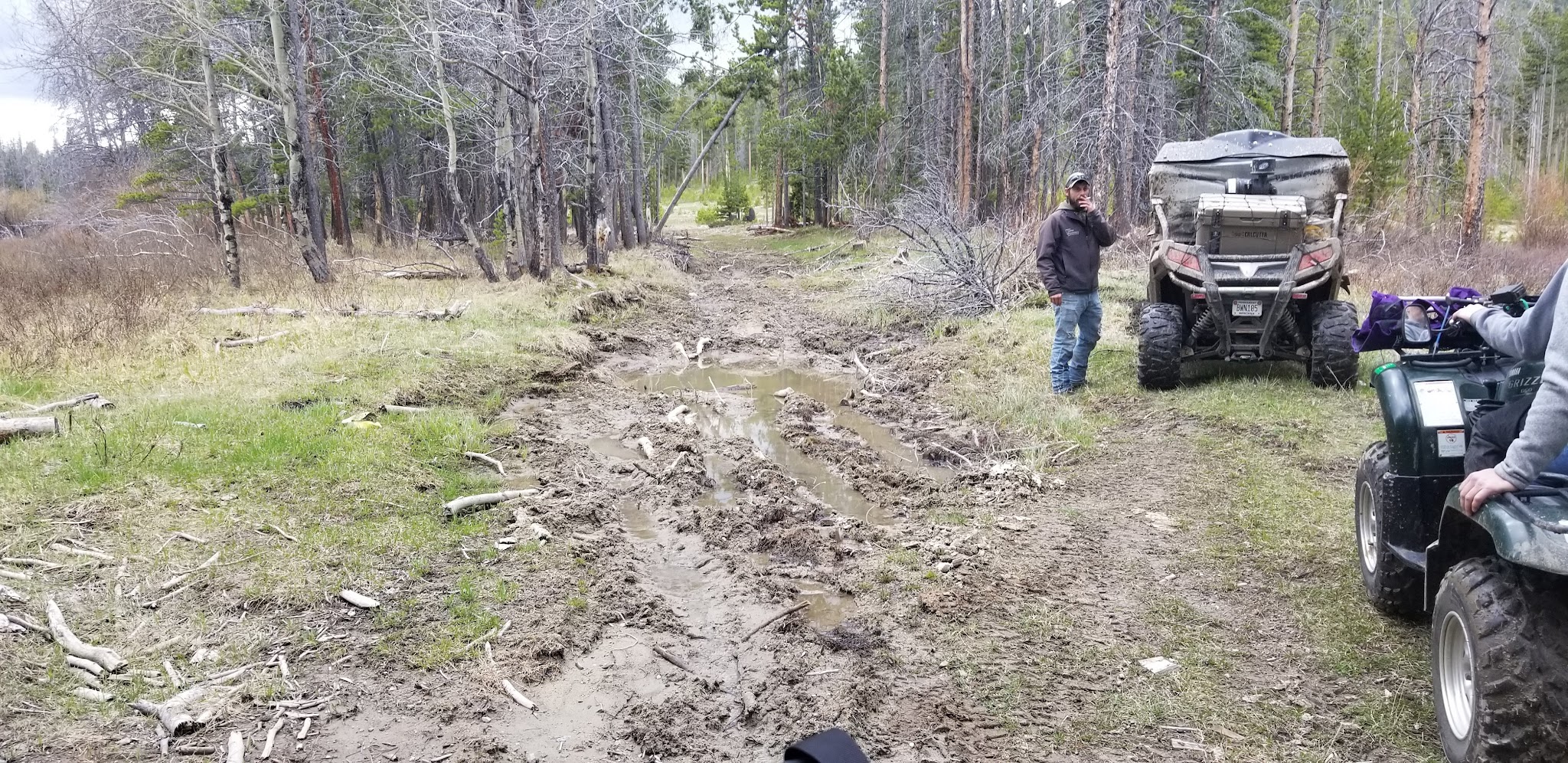 Lowland Campground And Picnic Area