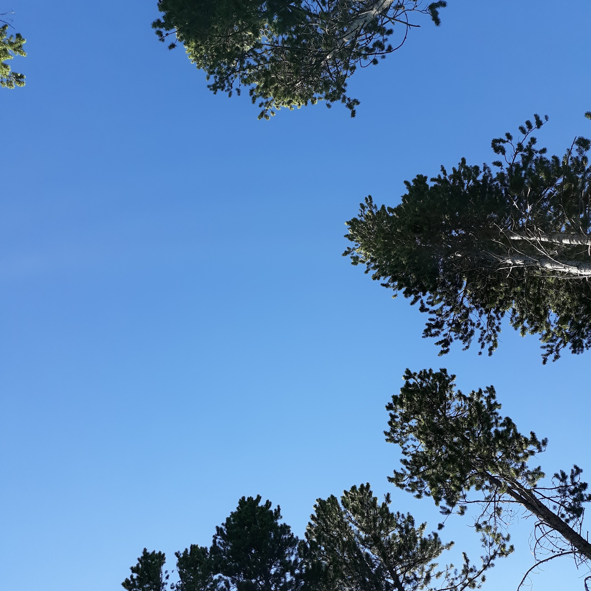 Lowland Campground And Picnic Area