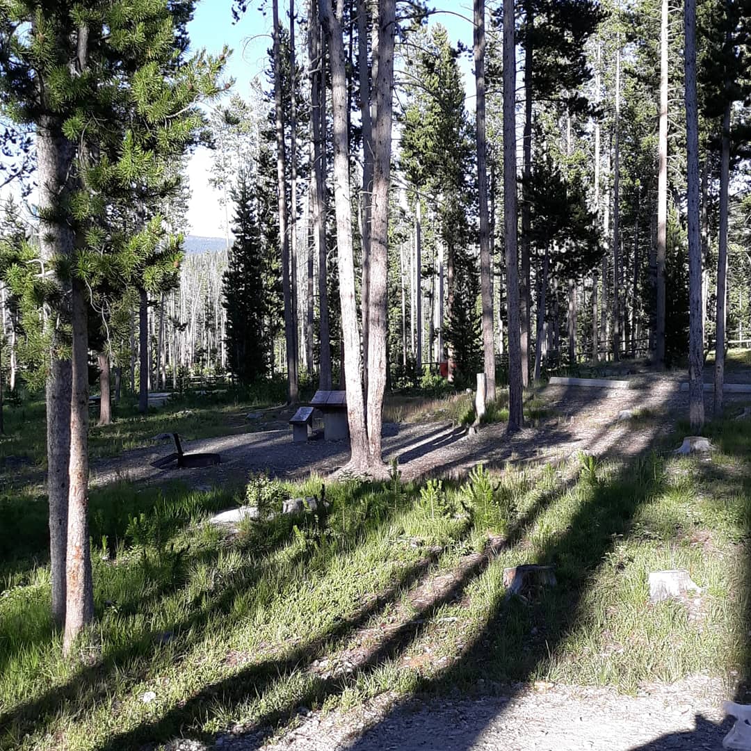 Lowland Campground And Picnic Area