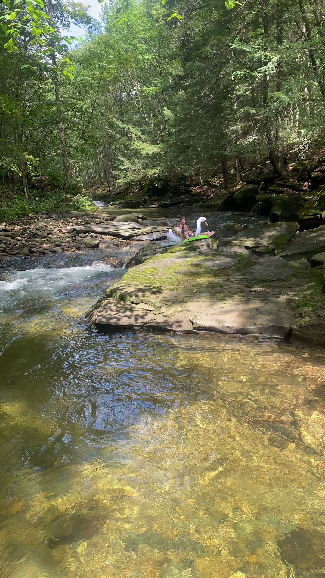 Loyalsock State Forest