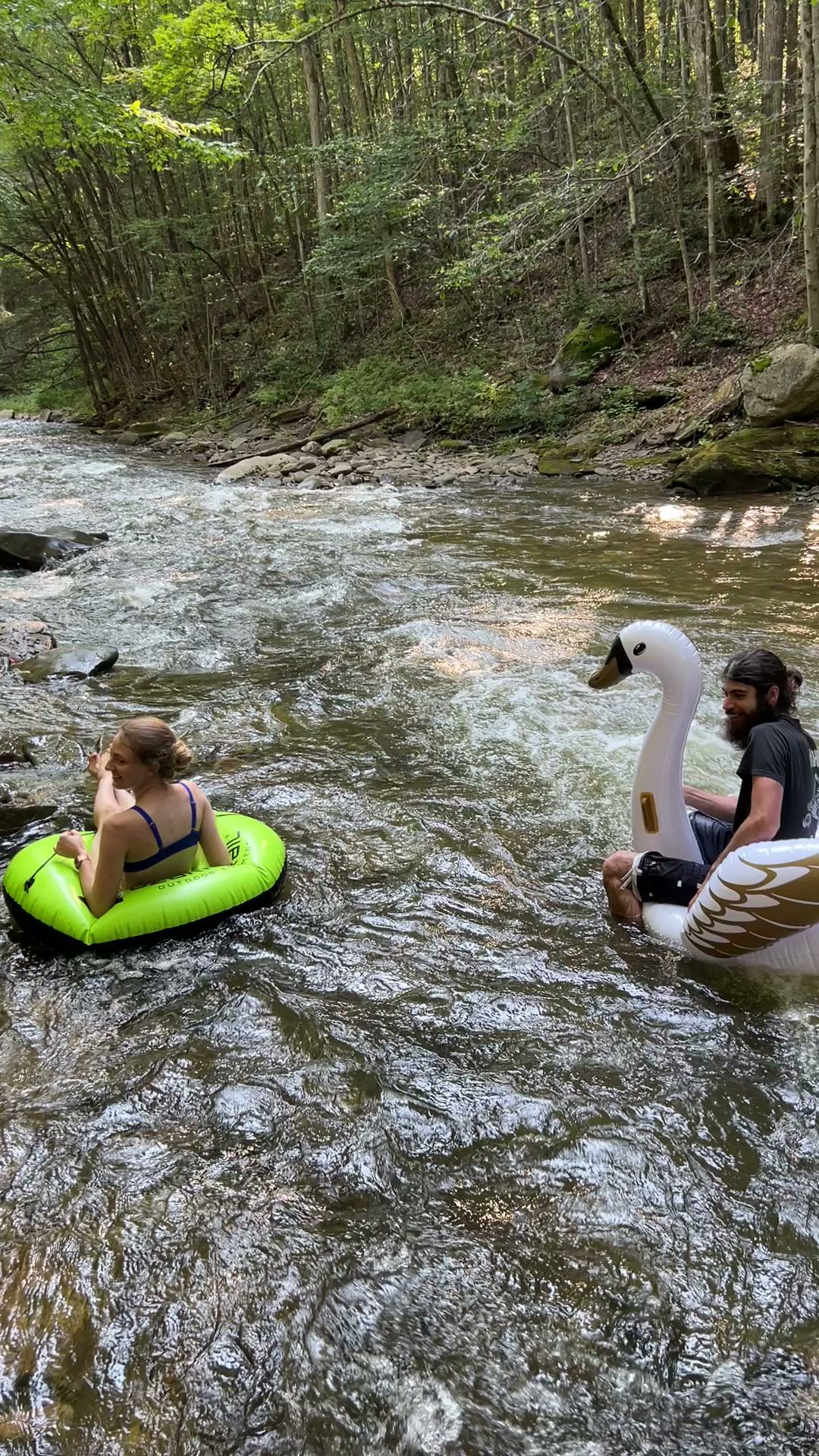 Loyalsock State Forest