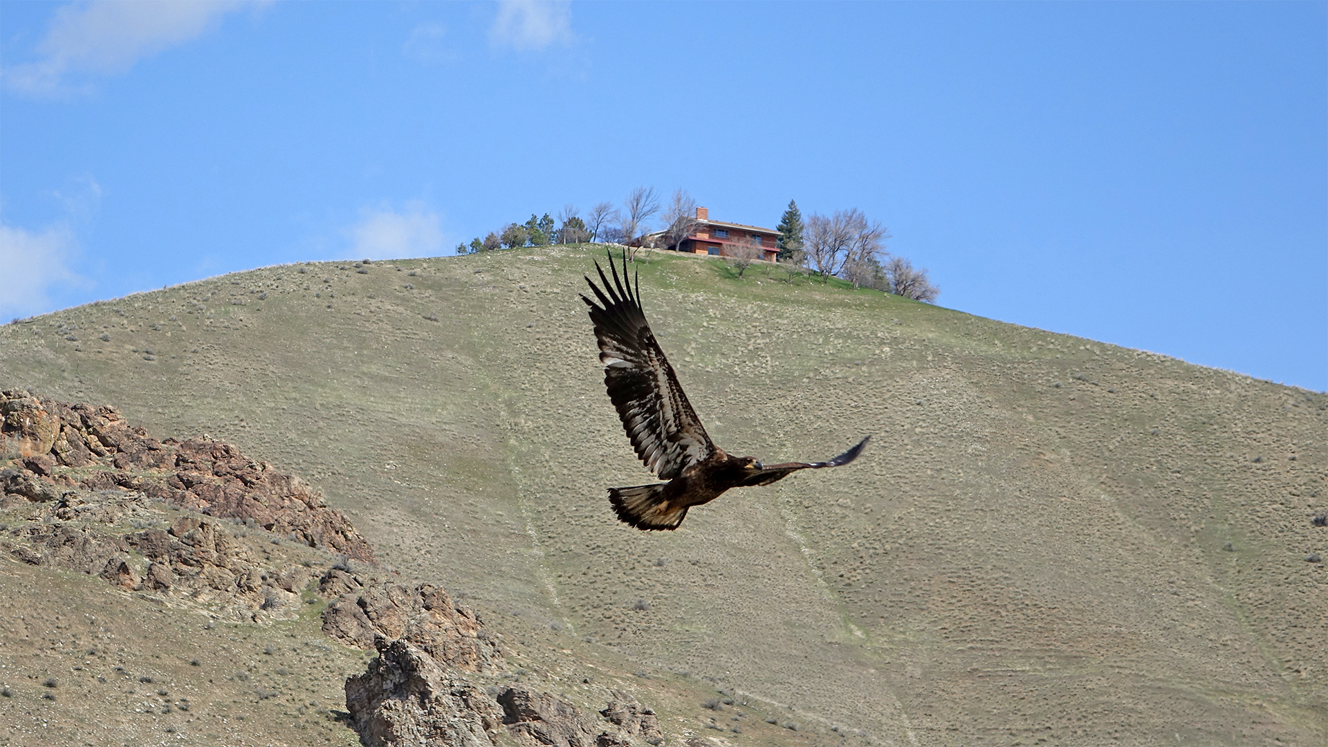 Lucky Peak State Park