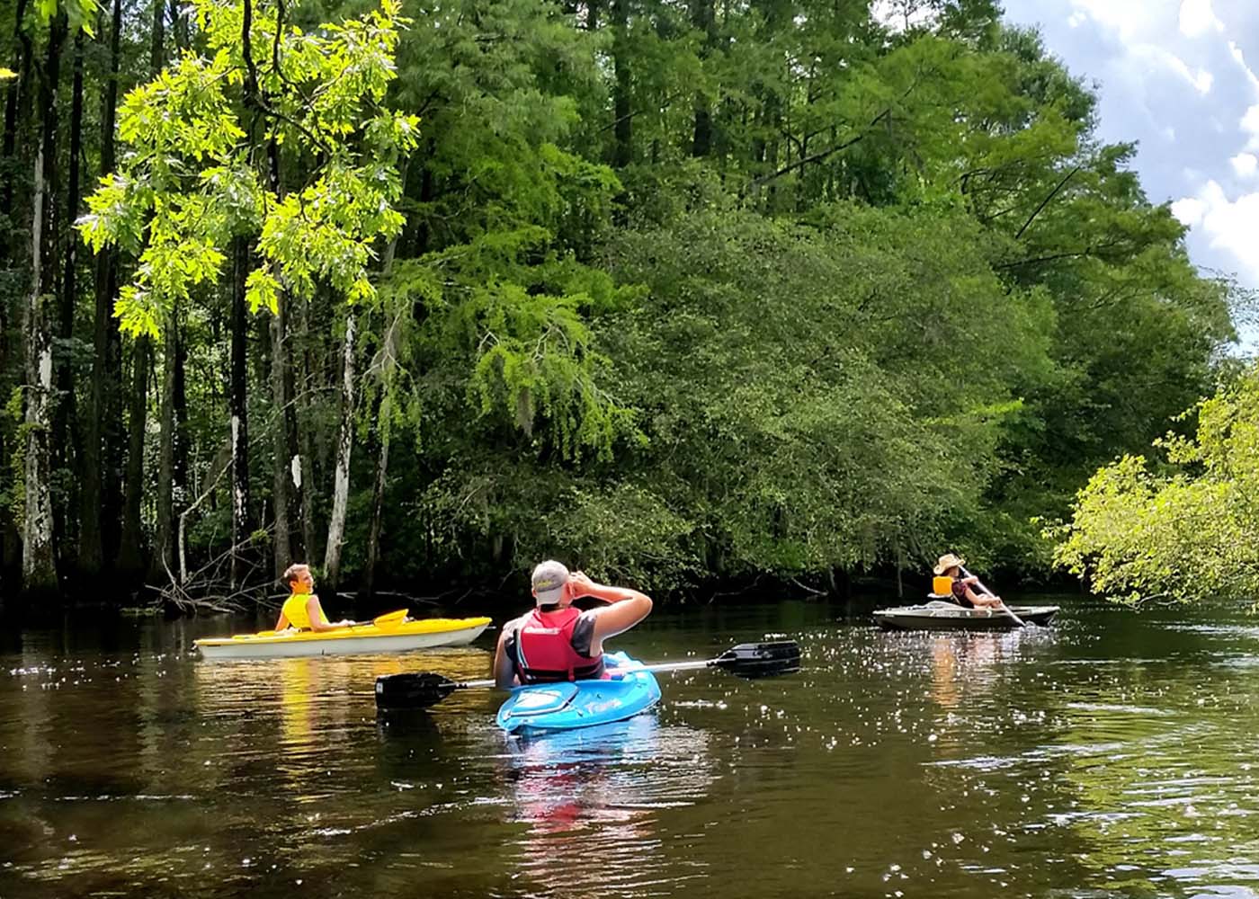 Lumber River State Park