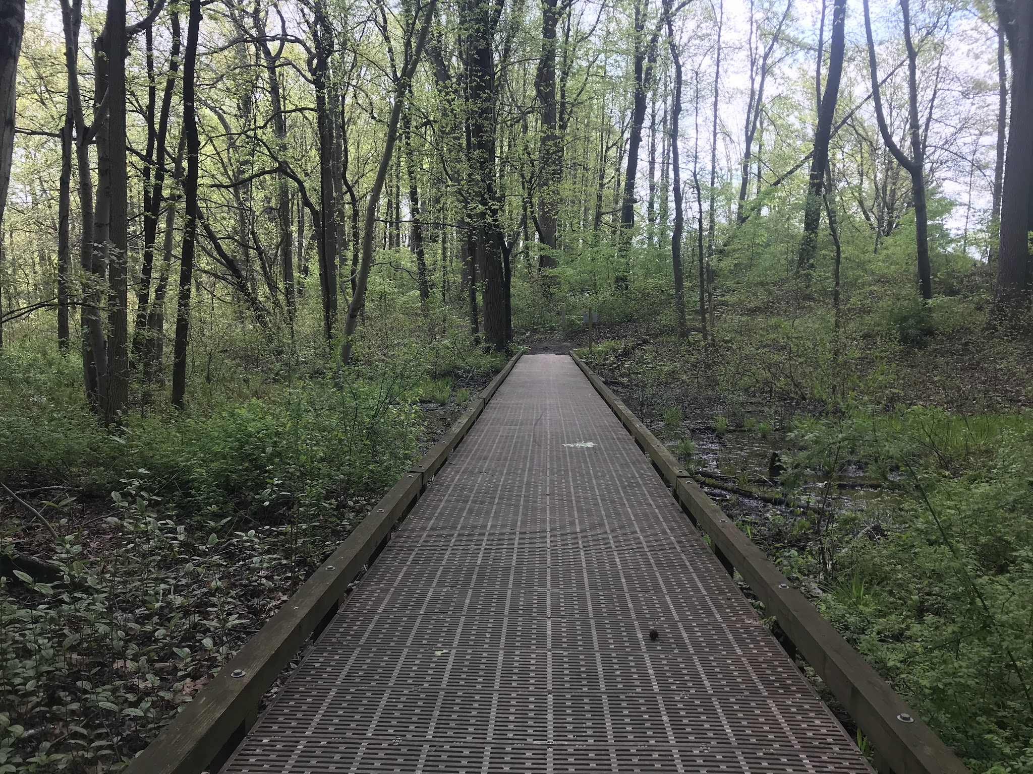 Lums Pond State Park