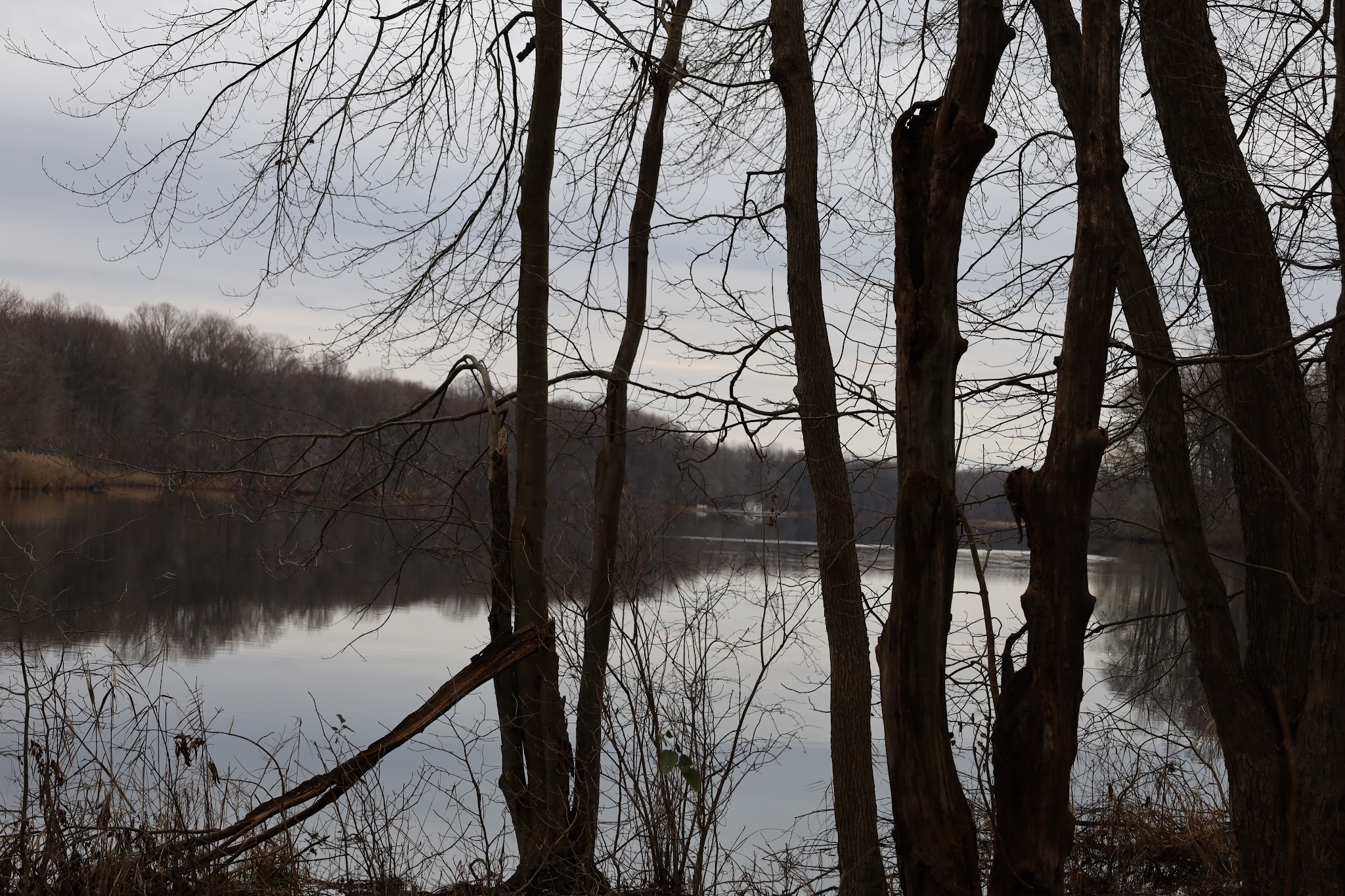 Lums Pond State Park