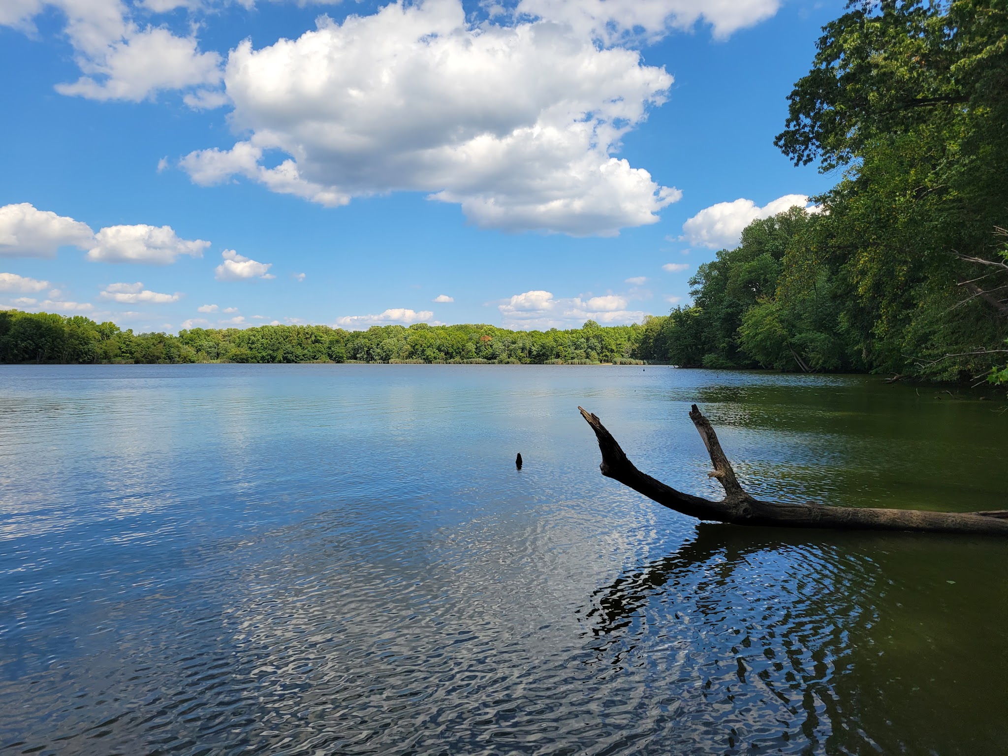 Lums Pond State Park