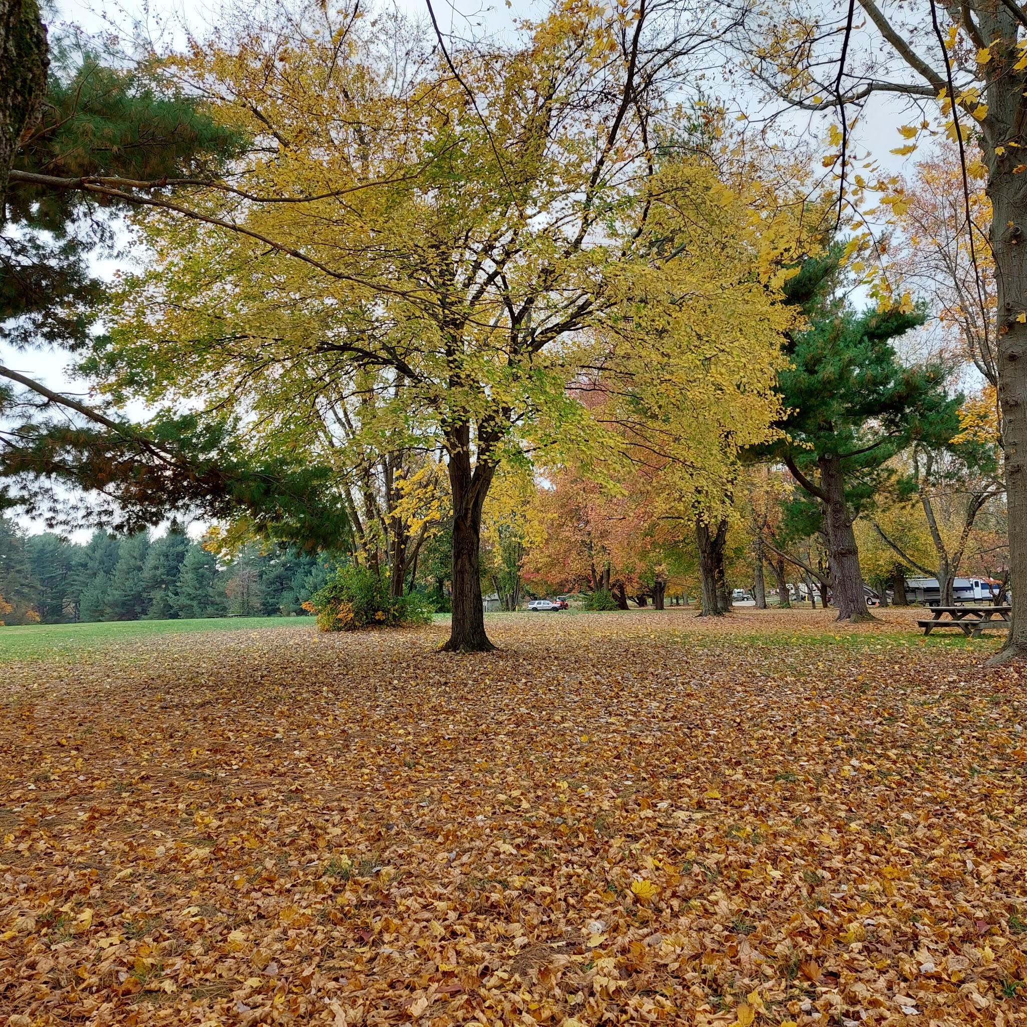Lums Pond State Park