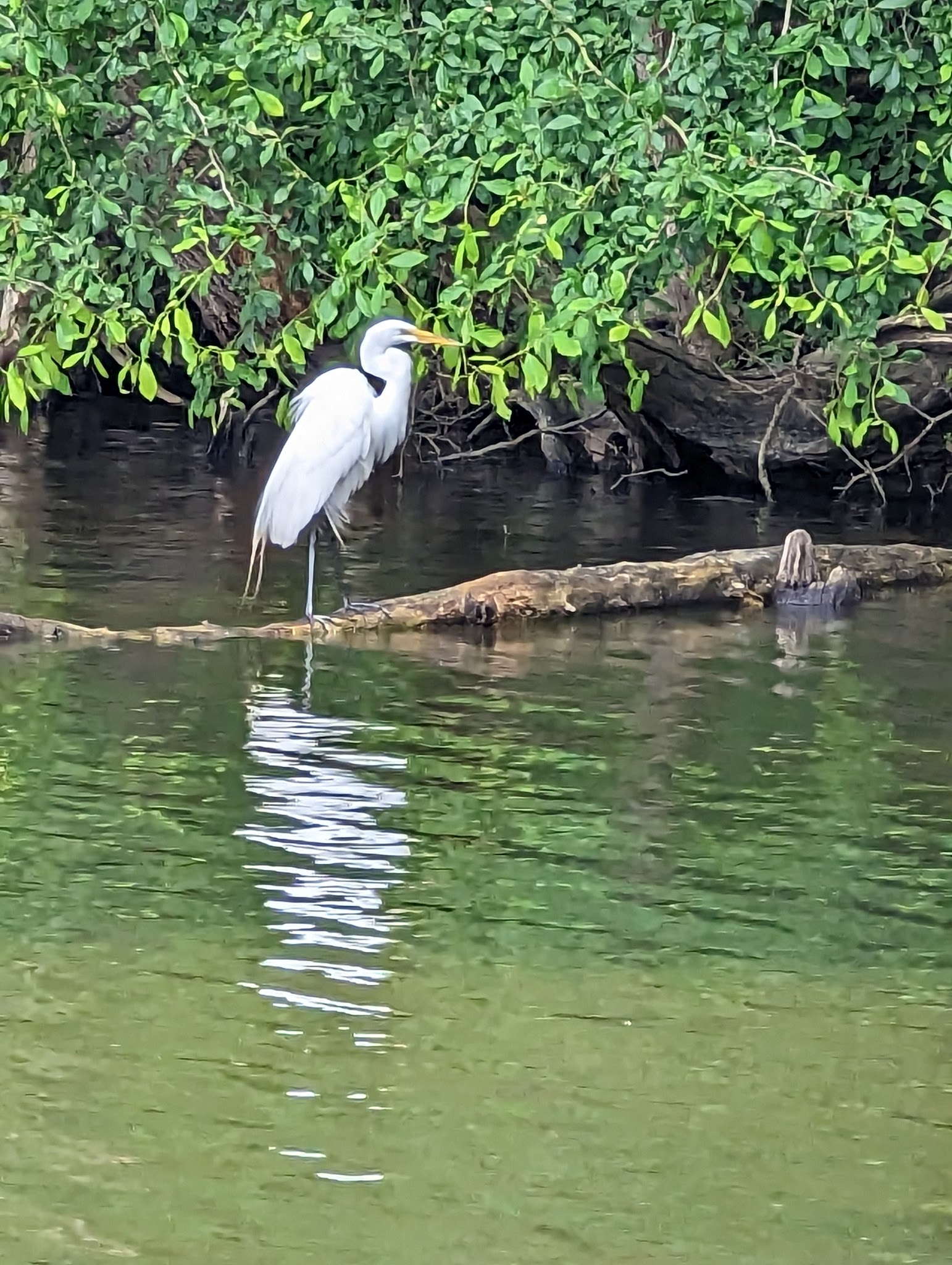 Lums Pond State Park