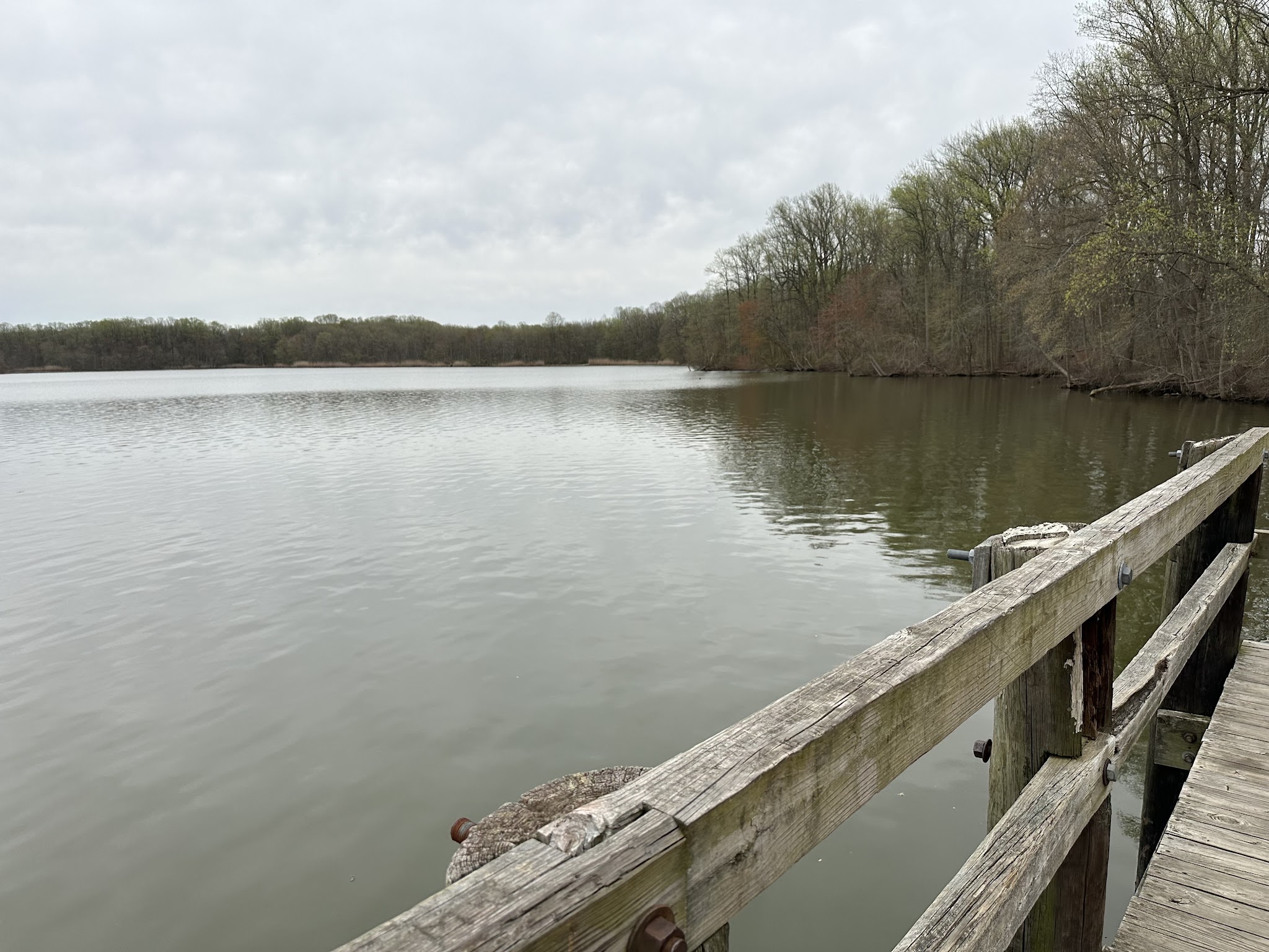 Lums Pond State Park