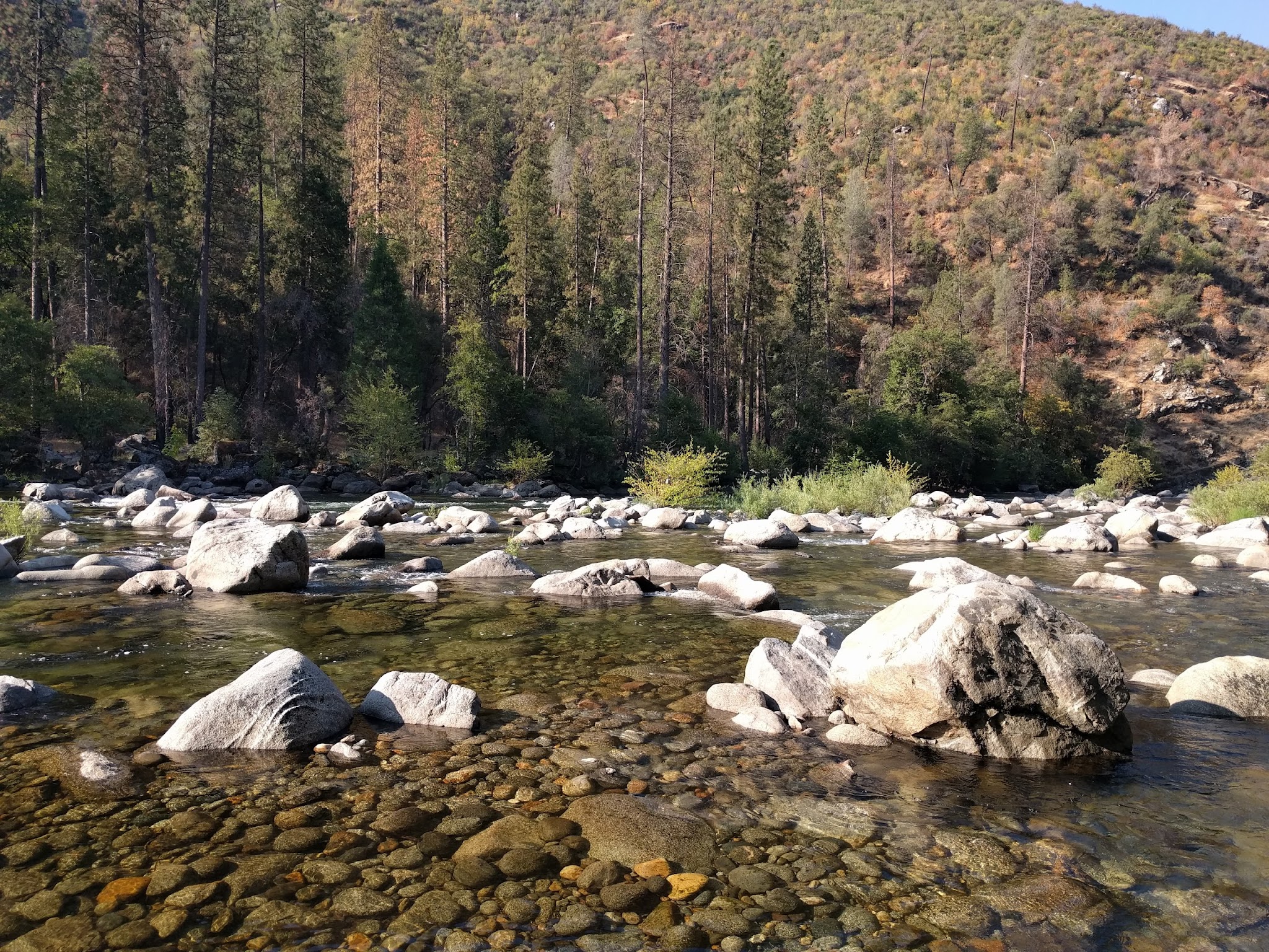 Lumsden Bridge Campground