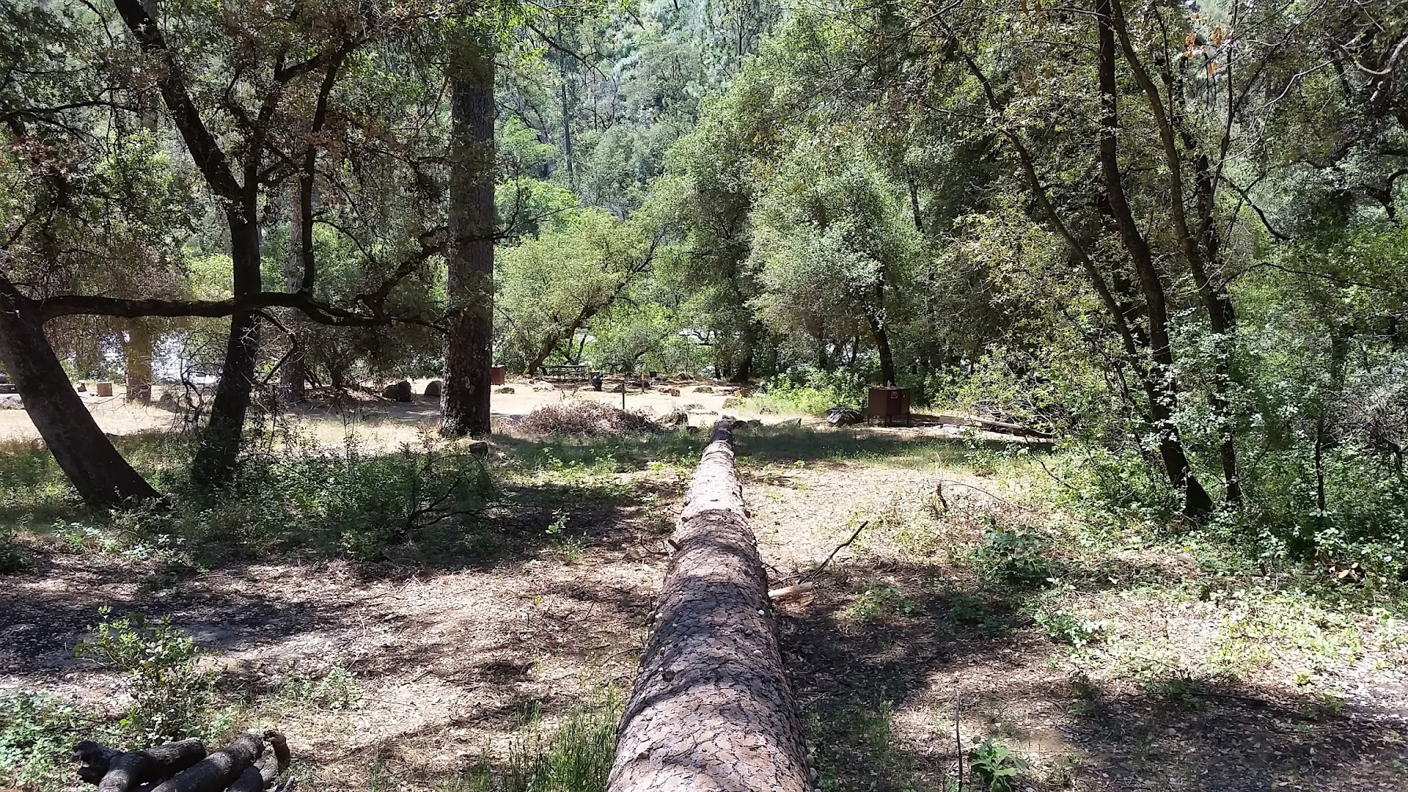 Lumsden Bridge Campground