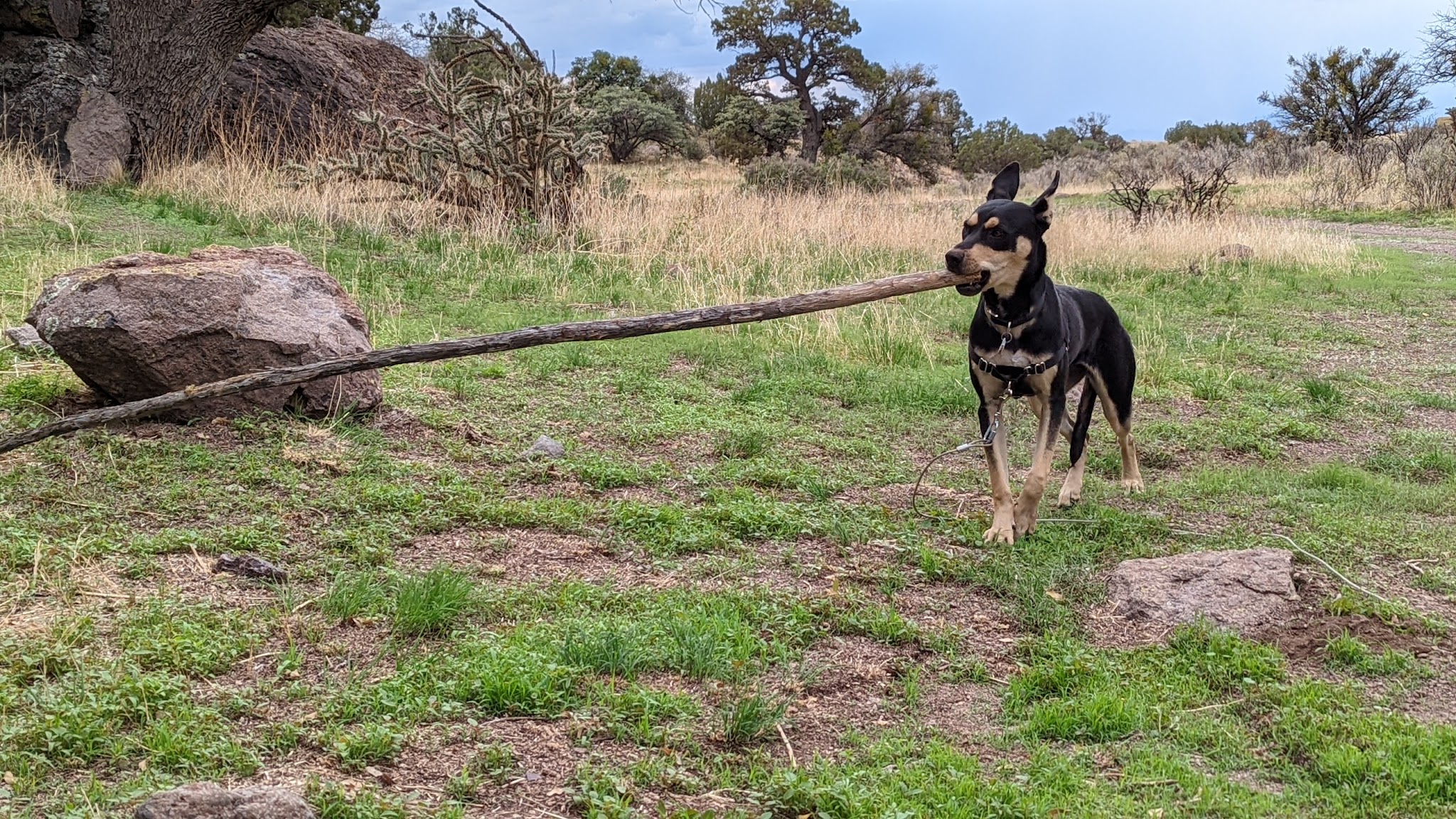 Luna Park Campground