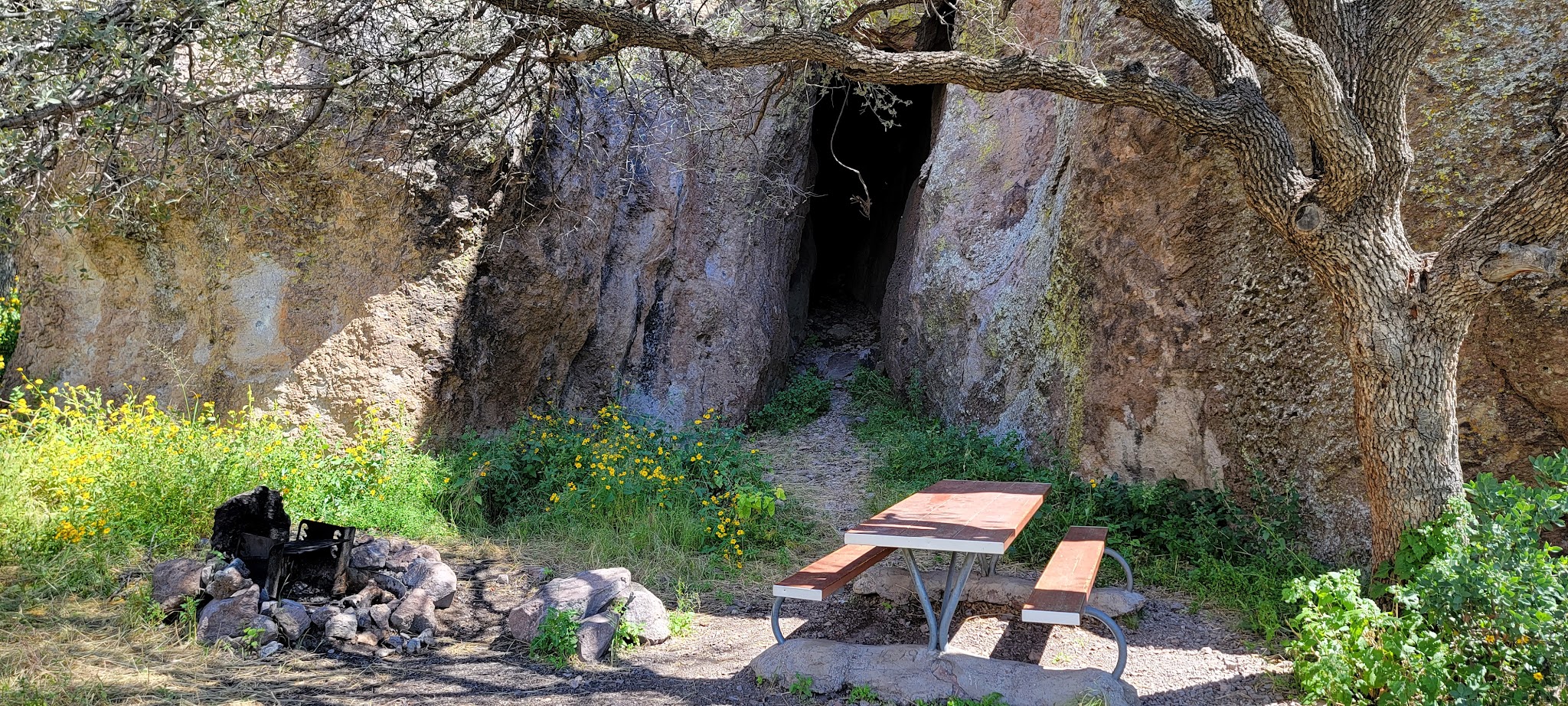 Luna Park Campground