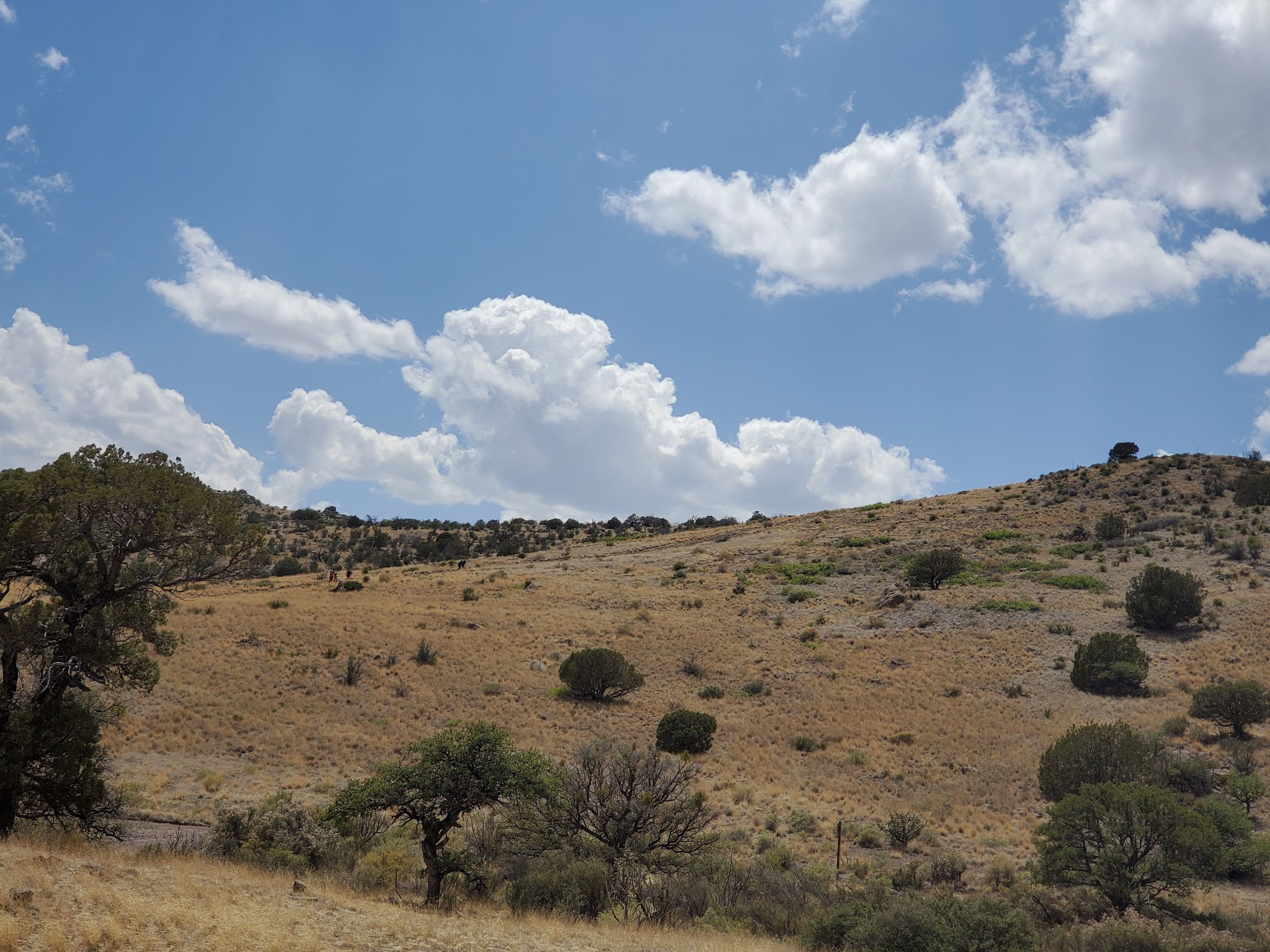 Luna Park Campground