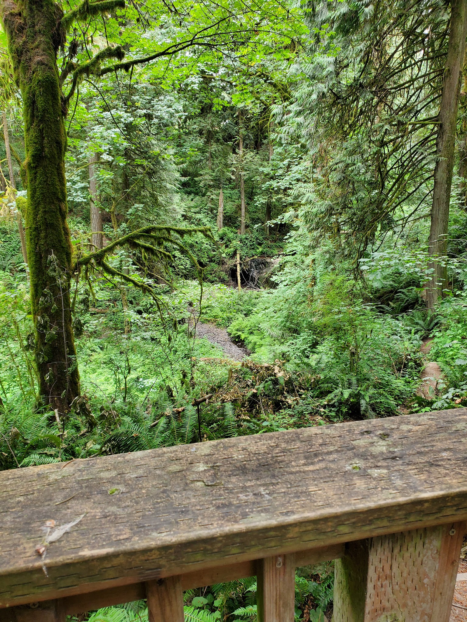 Paradise Point State Park