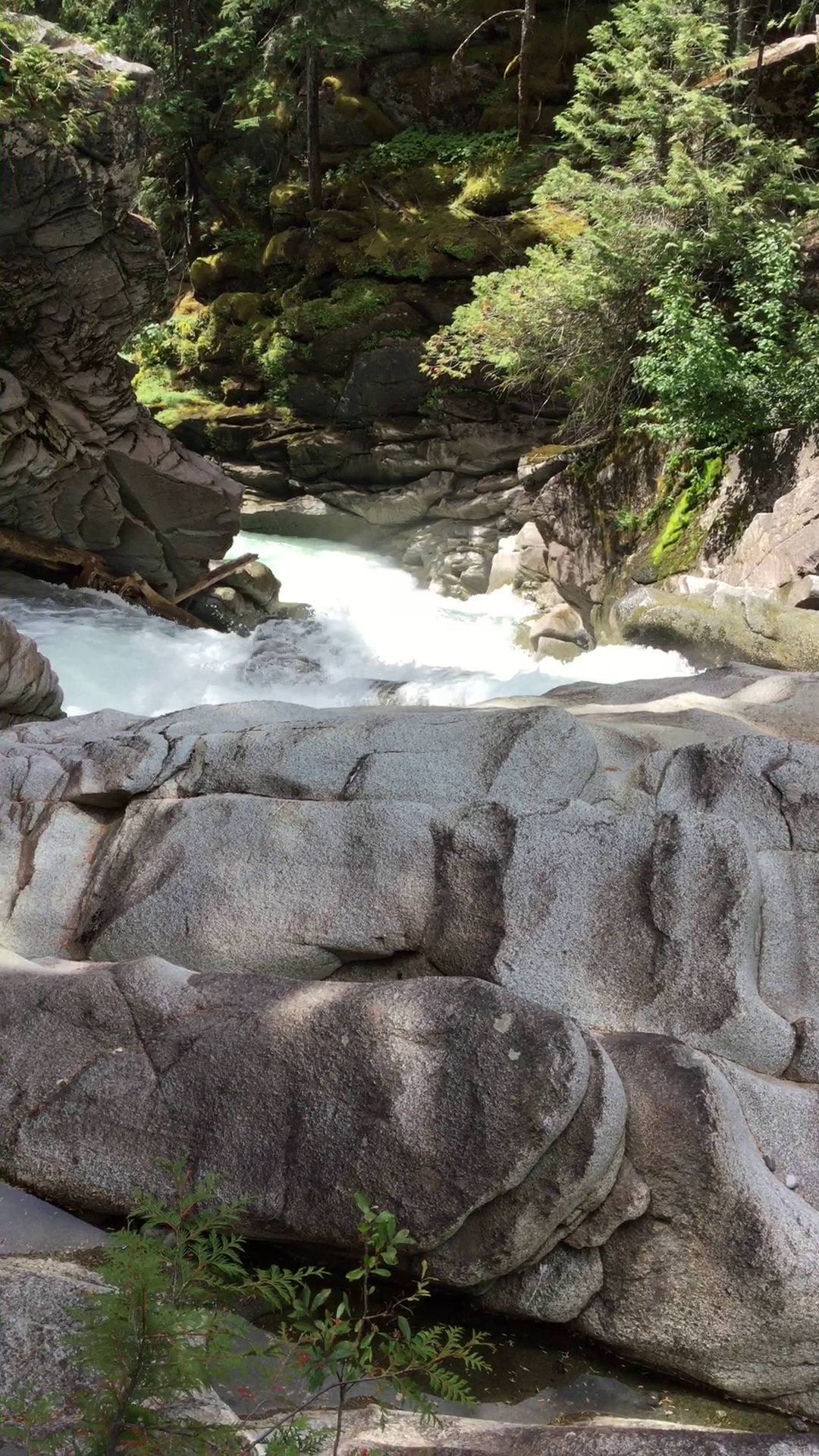 Grasshopper Meadows Campground