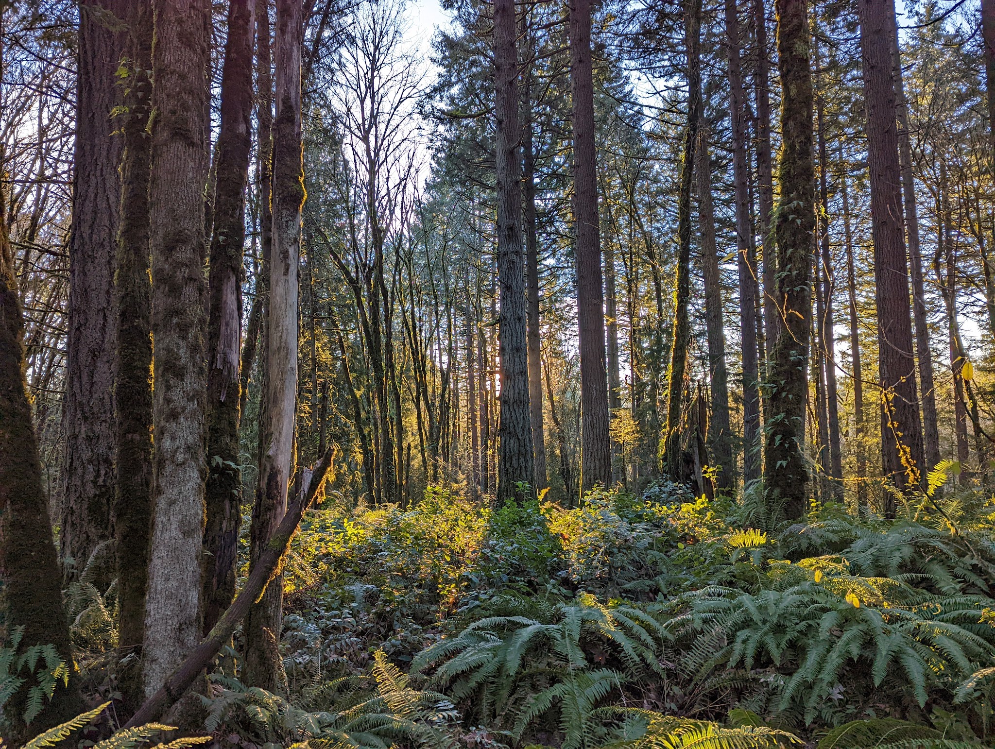 Pecan Creek Natural Sup Campground