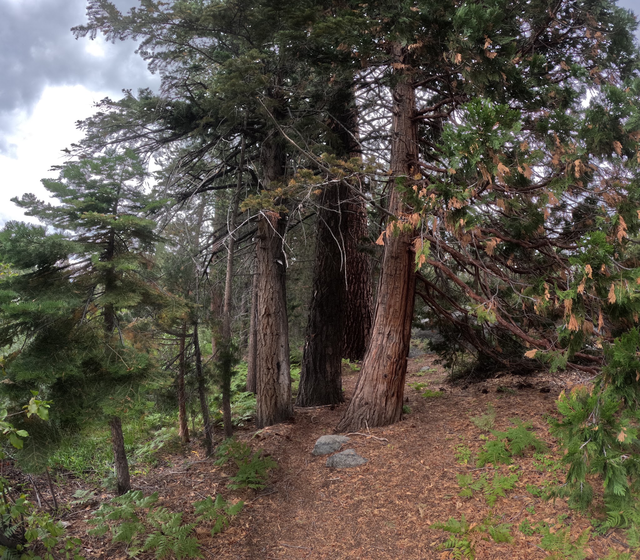 Ward Lake Campground
