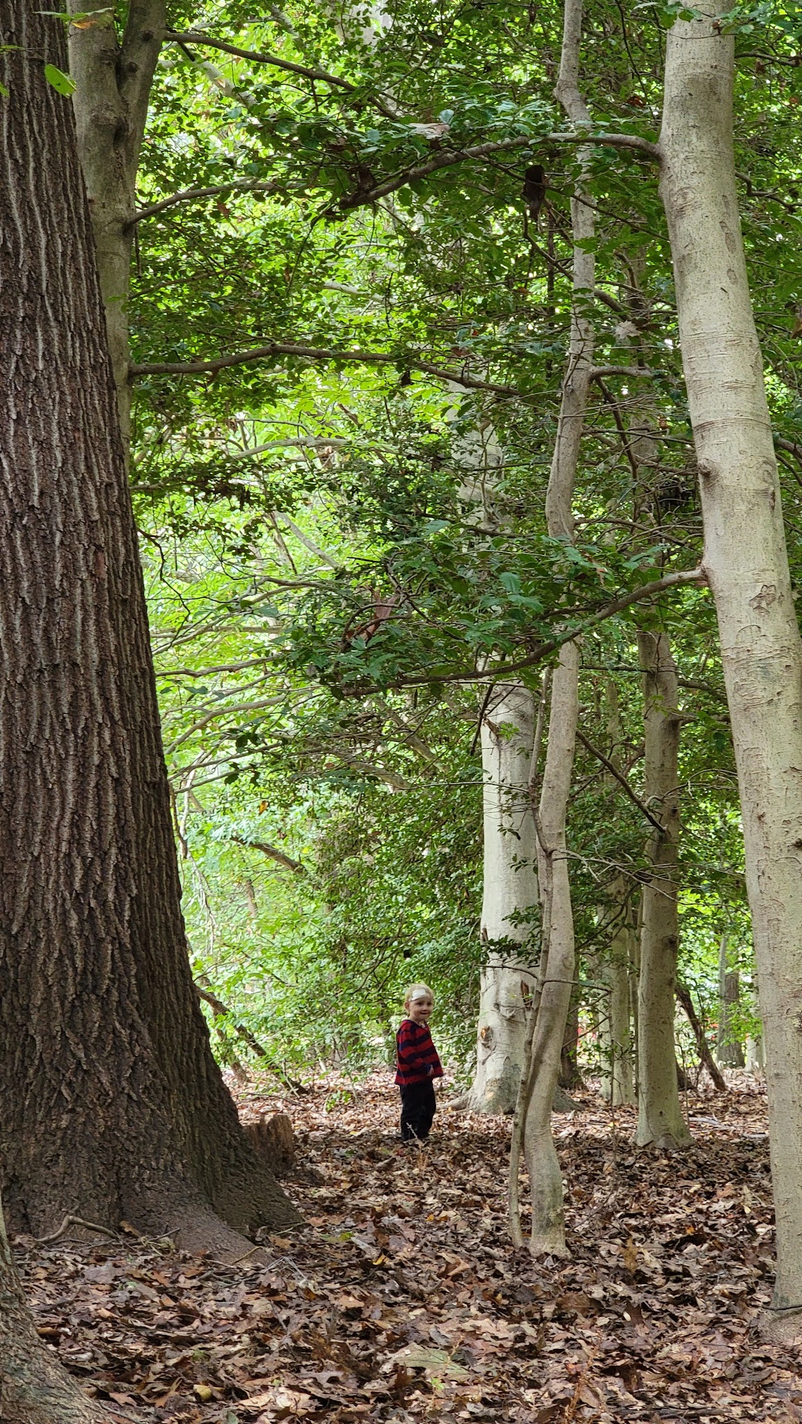 Pohick Bay Regional Park- Lorton