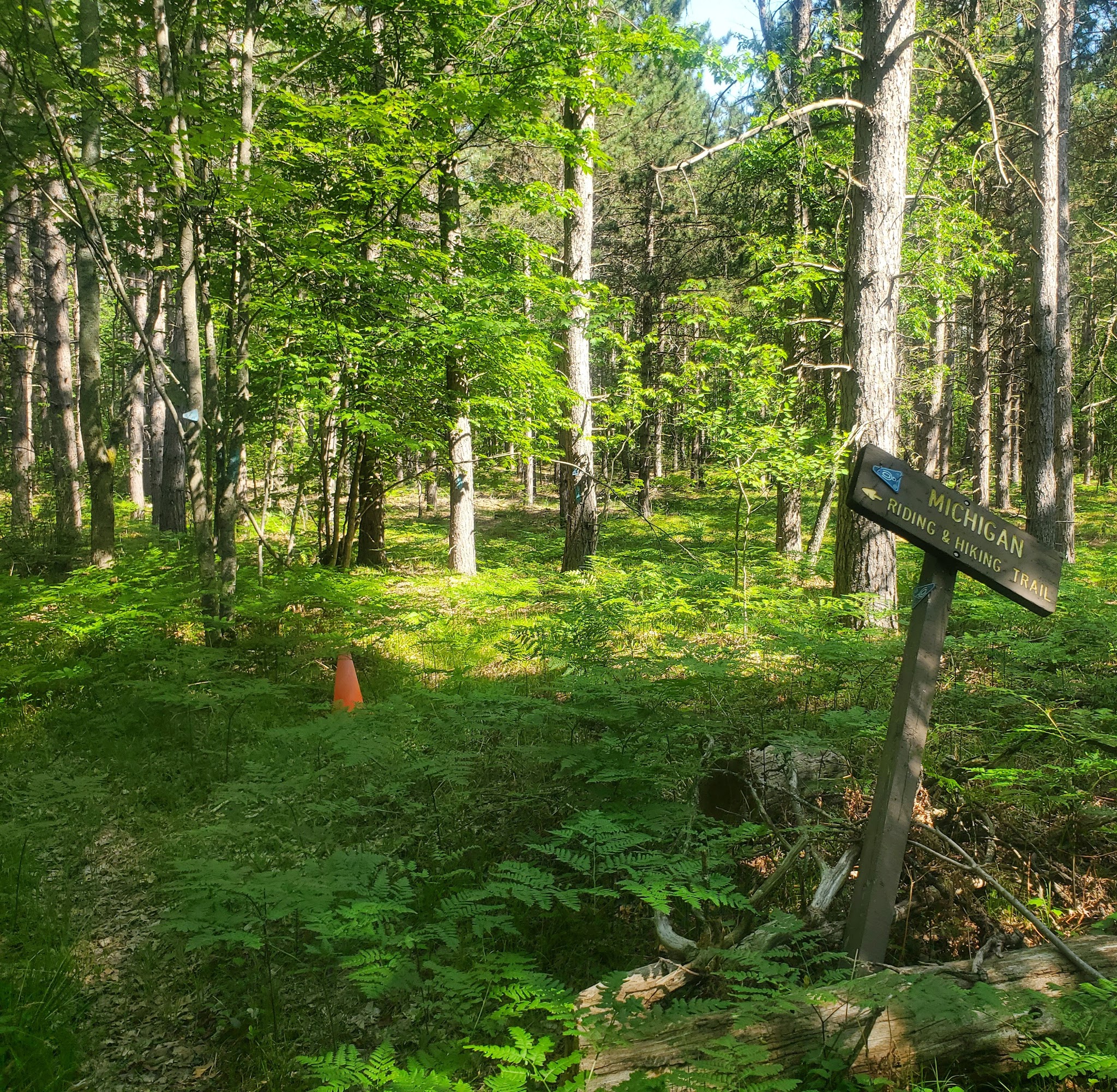 Luzerne Horse Trail Campground And Trailhead