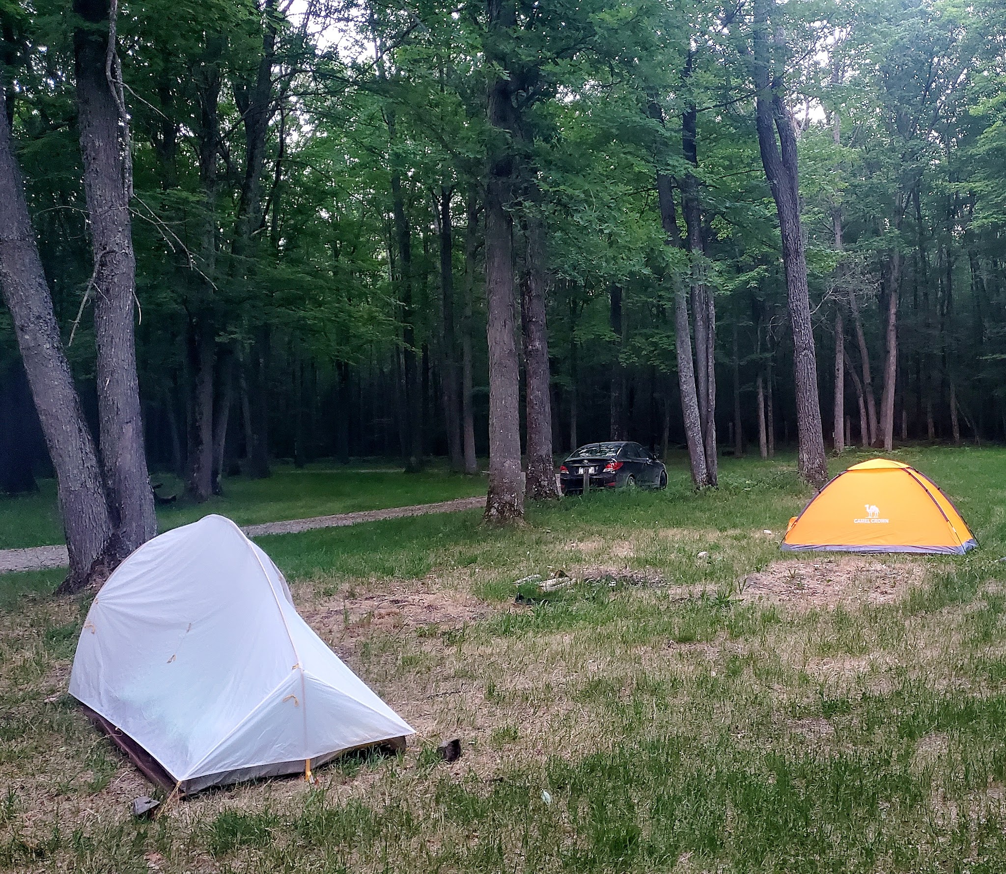 Luzerne Horse Trail Campground And Trailhead