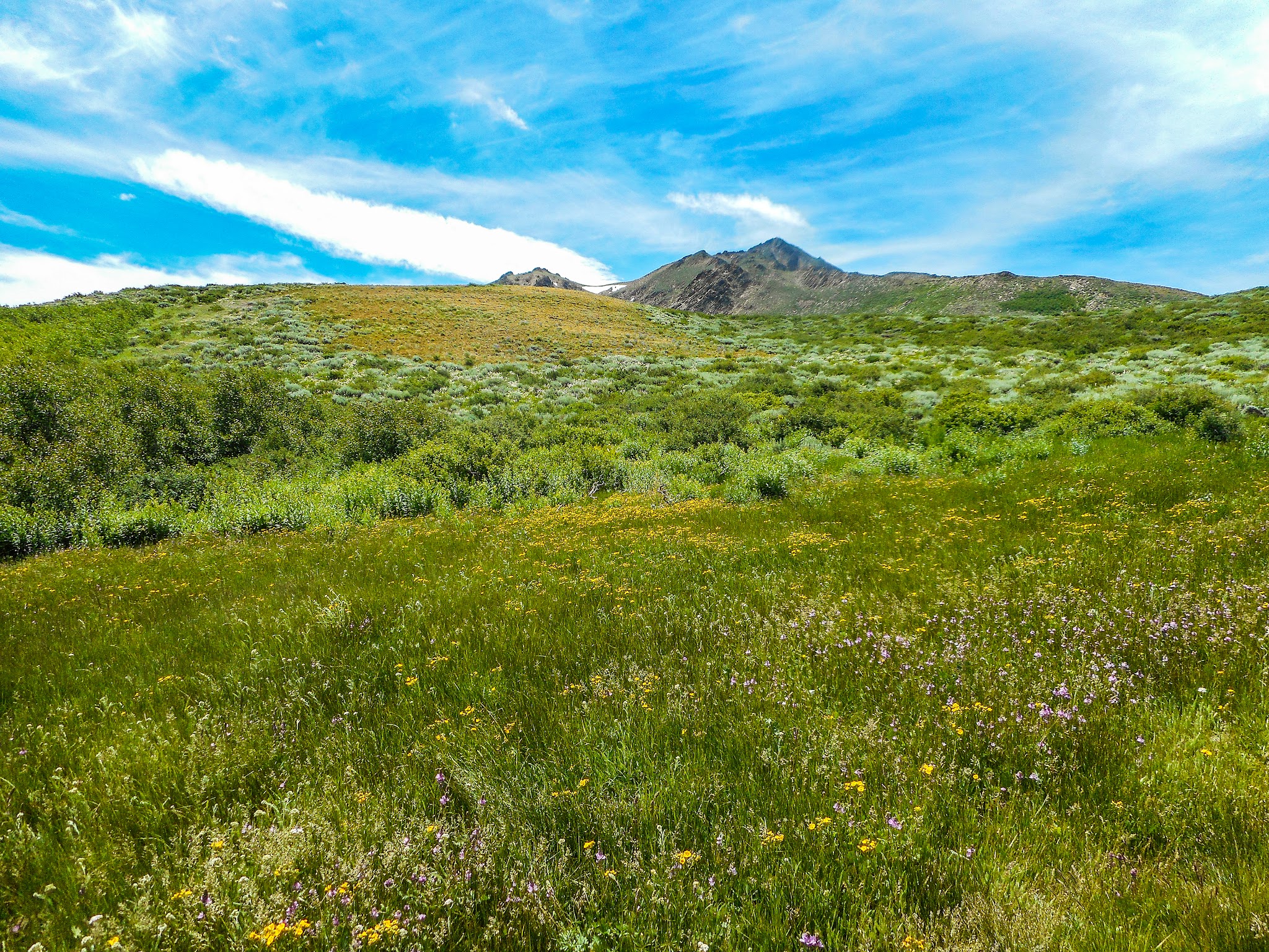 Lye Creek Campground