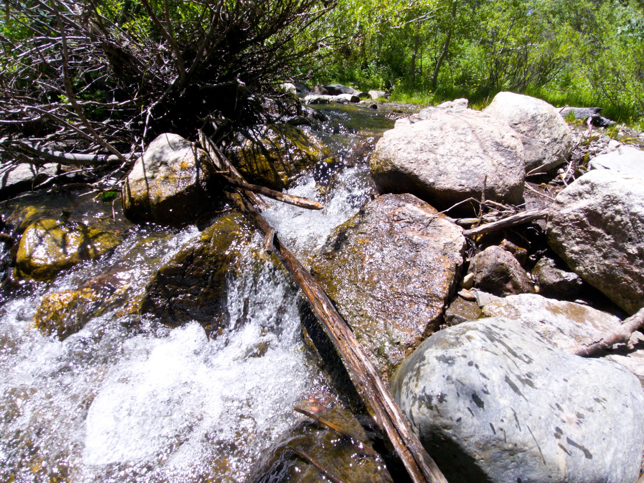 Lye Creek Campground