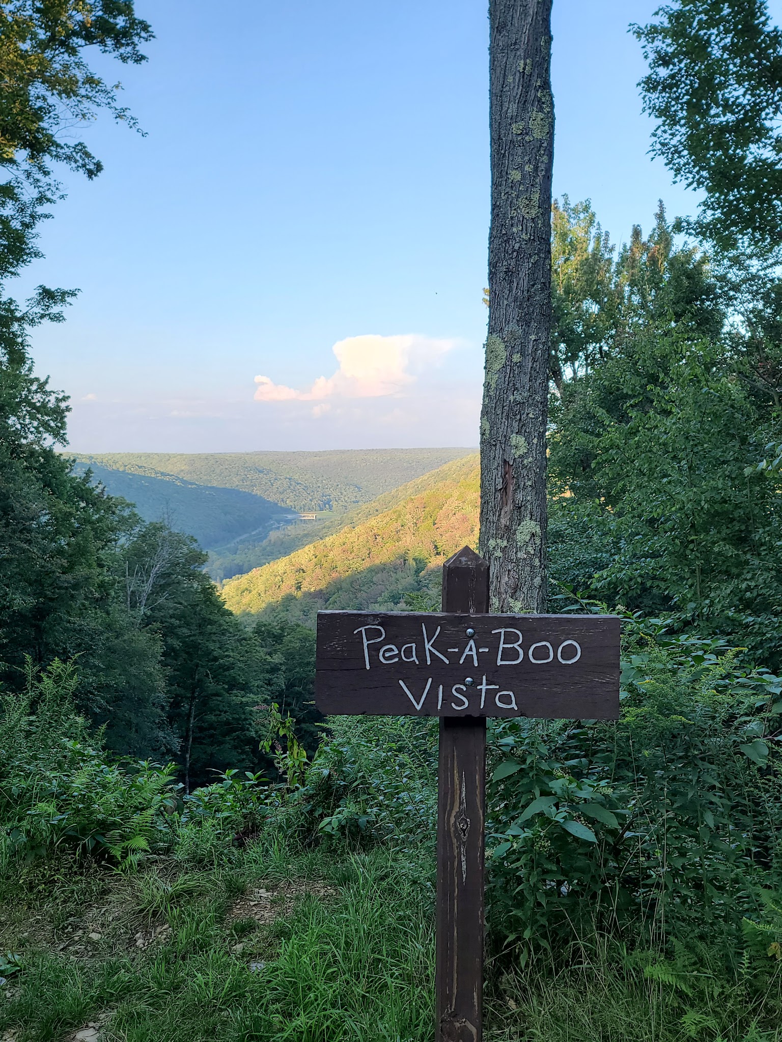 Lyman Run State Park