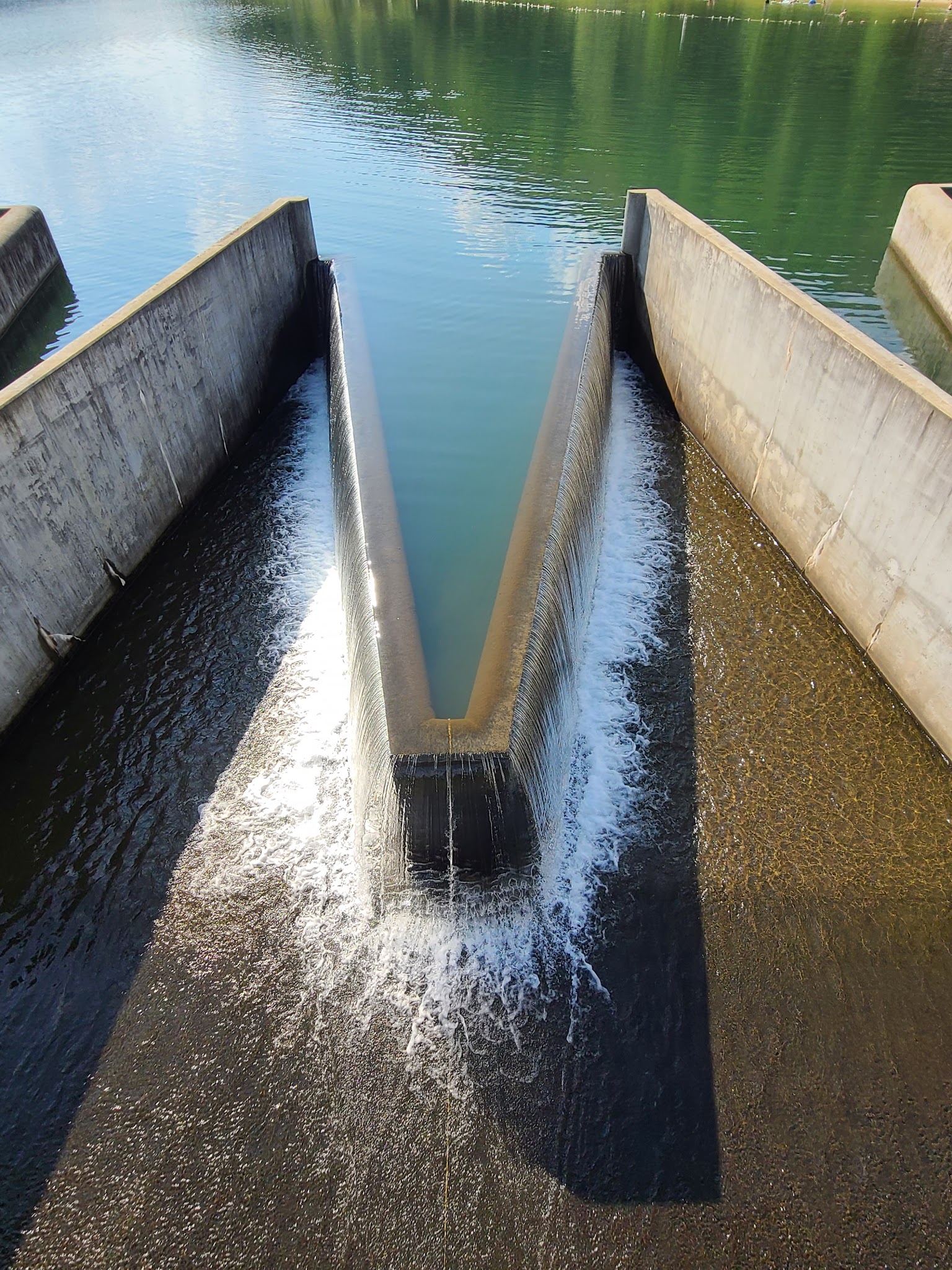 Lyman Run State Park