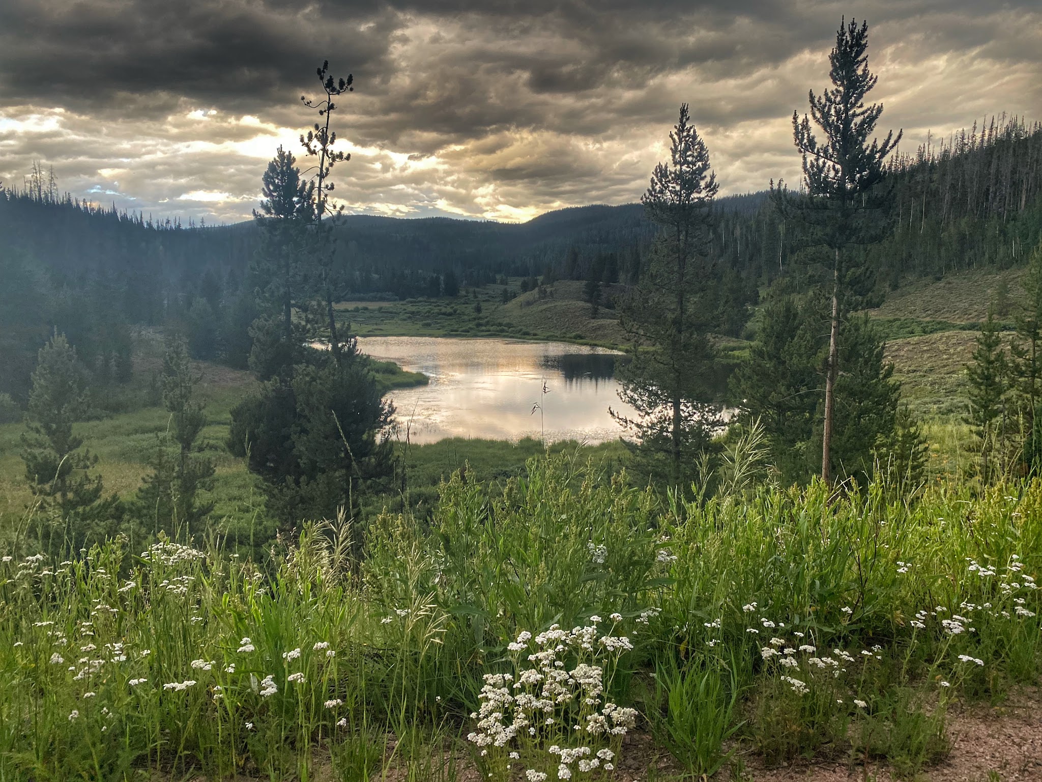 Lynx Pass Campground
