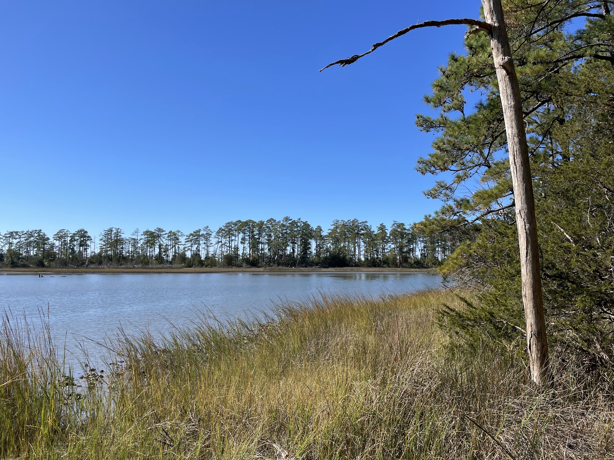 Machicomoco Campground