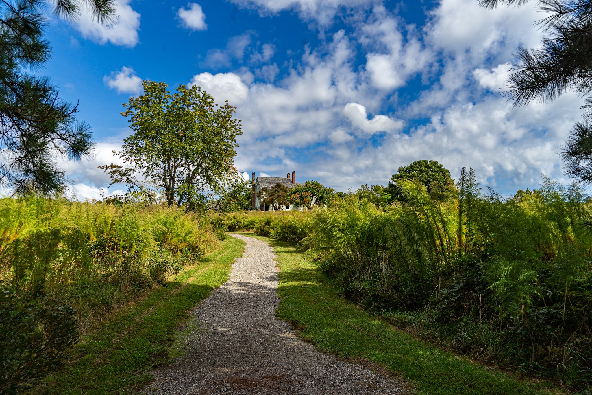 Machicomoco Campground