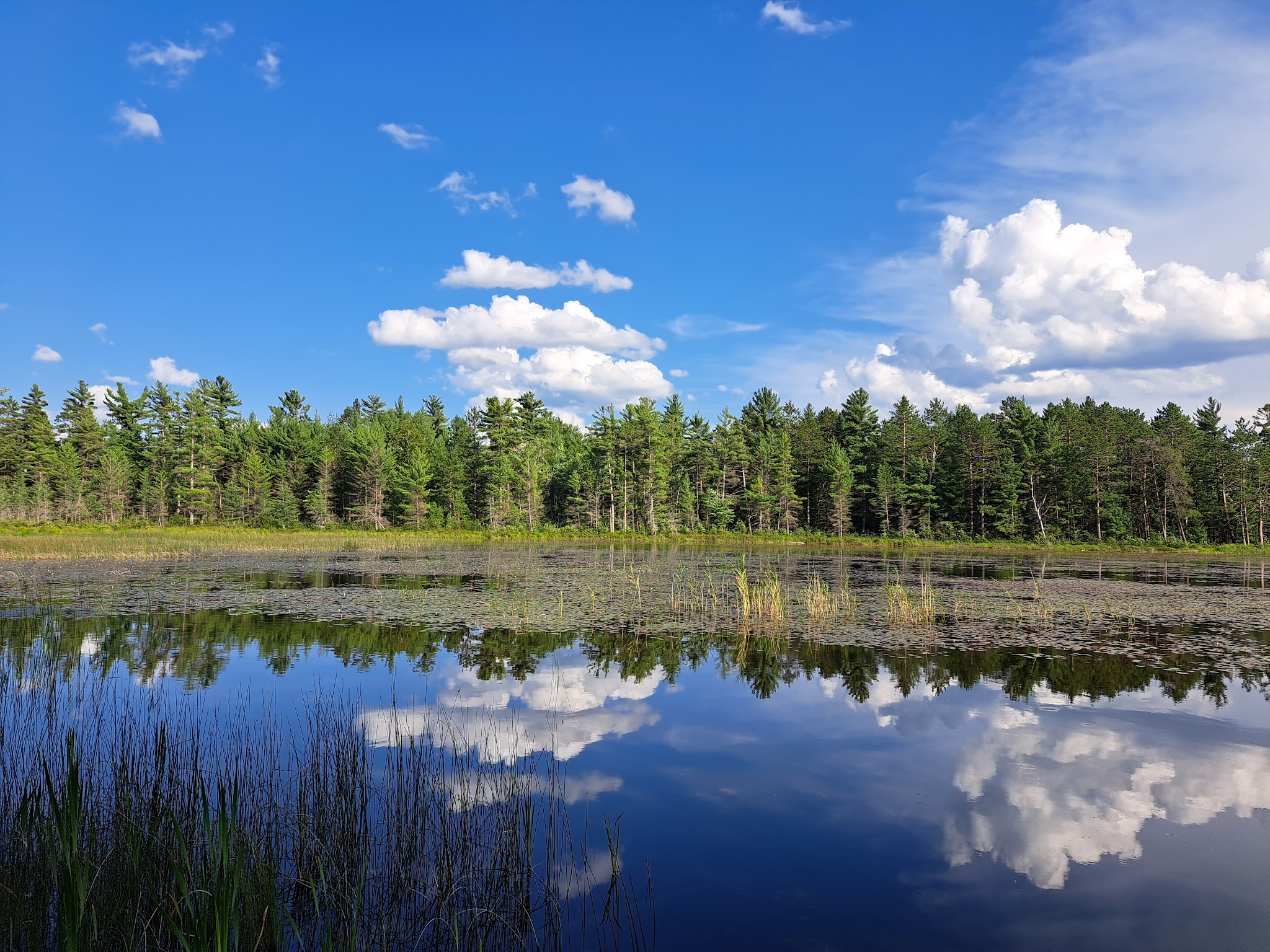 Mack Lake Orv Campground