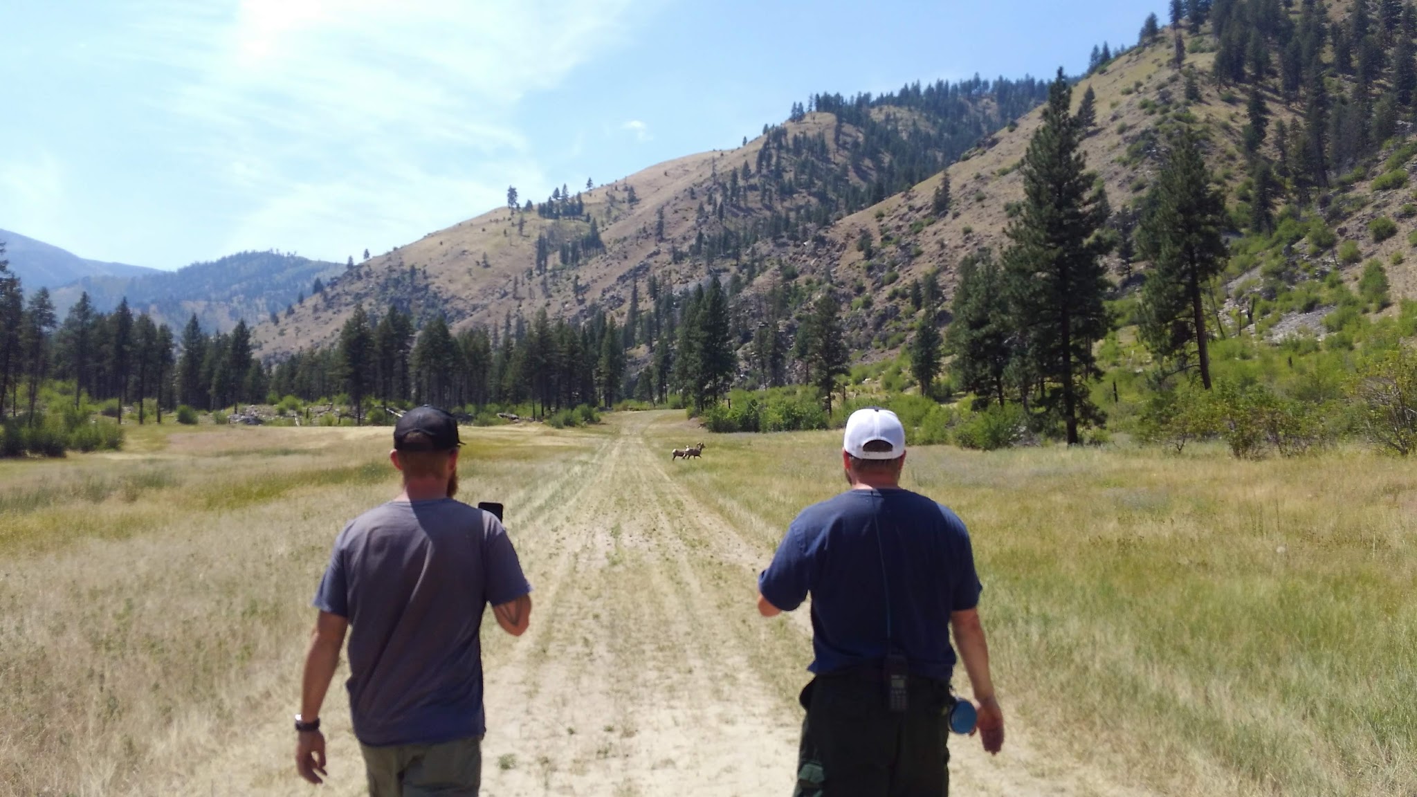 Mackay Bar Campground