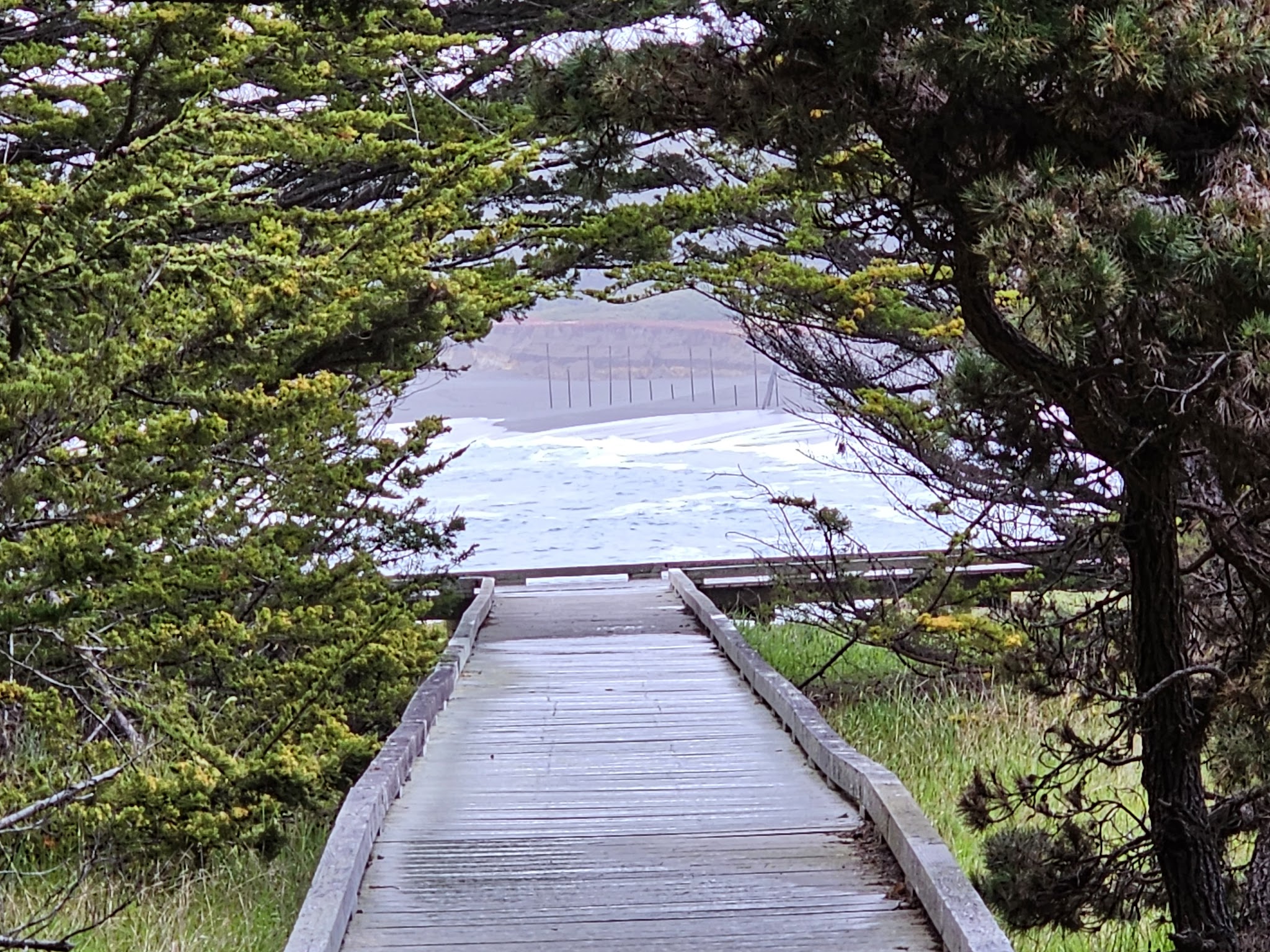 Mackerricher State Park Campground